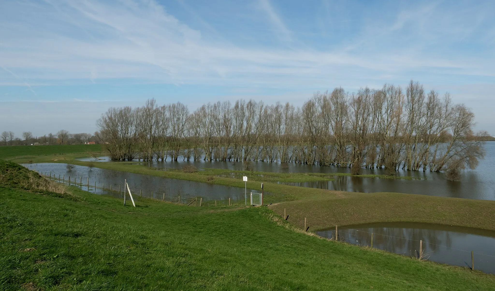 Photo showing: Weurt, trees in front of the Grindgat