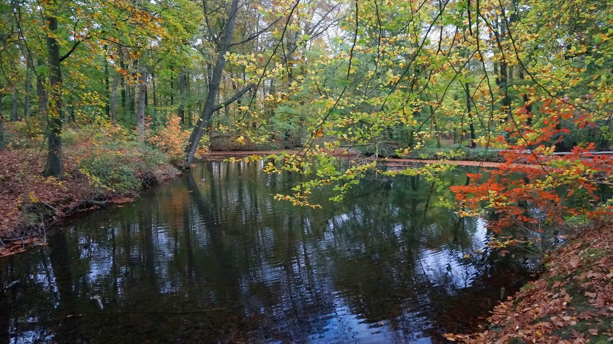 Photo showing: Westelijk van Schaarsbergen, Arnhem, Netherlands