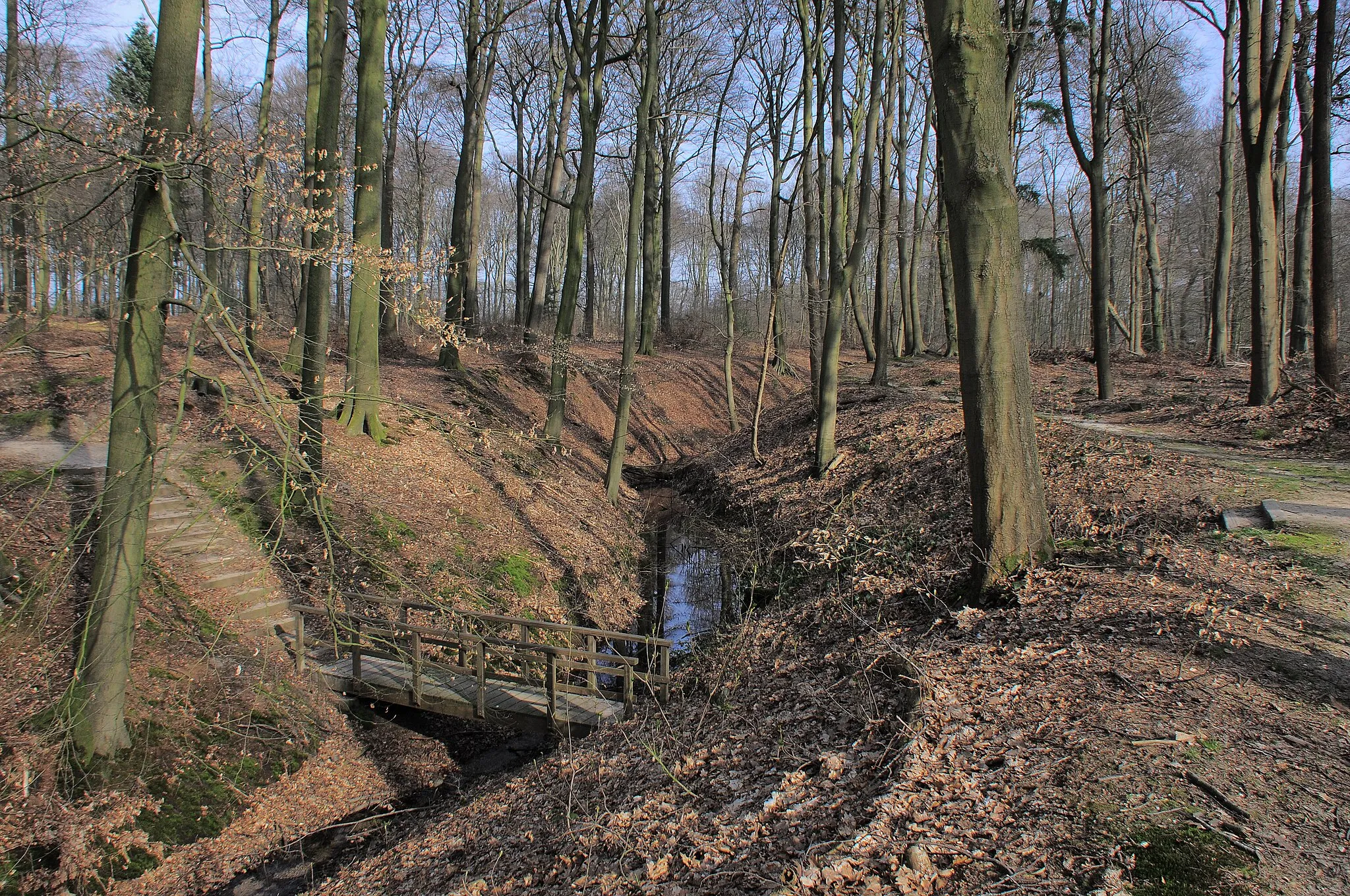 Photo showing: Digged seeping streeam at Hoge Erf Schaarsbergen to capture percolating rainwater to lower zones, to feed the ponds at Warnsborn