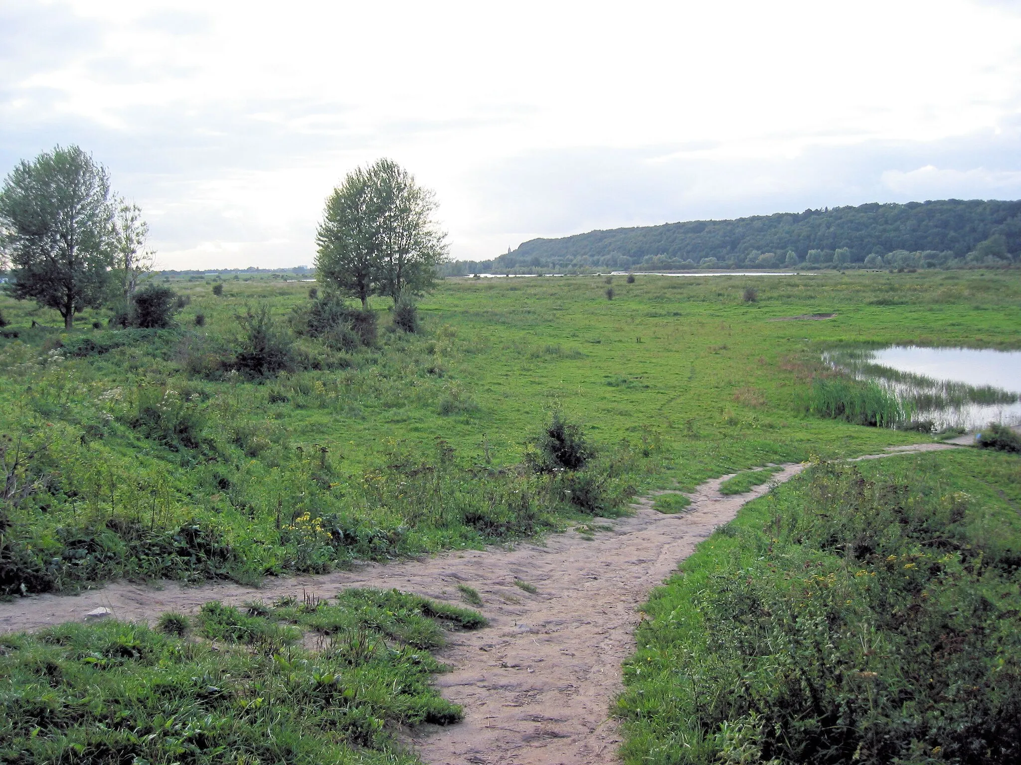 Photo showing: Zicht op een deel van het natuurgebied De Blauwe kamer van Het Utrechts Landschap nabij de Grebbeberg. Niet ver gelegen van Rhenen en Wageningen