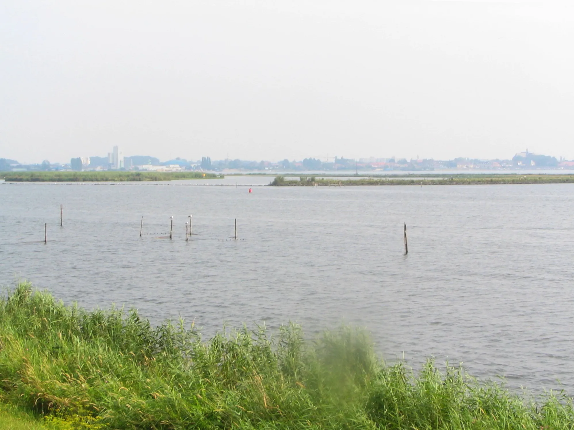 Photo showing: Wolderwijd, foto op een hete dag.