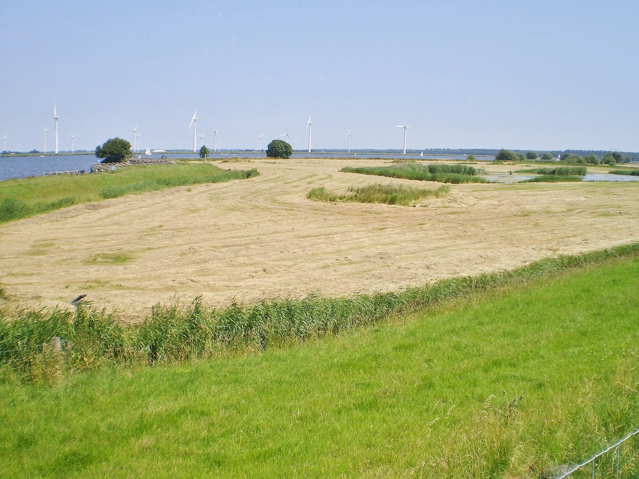 Photo showing: Waterwingebied achter de Palendijk