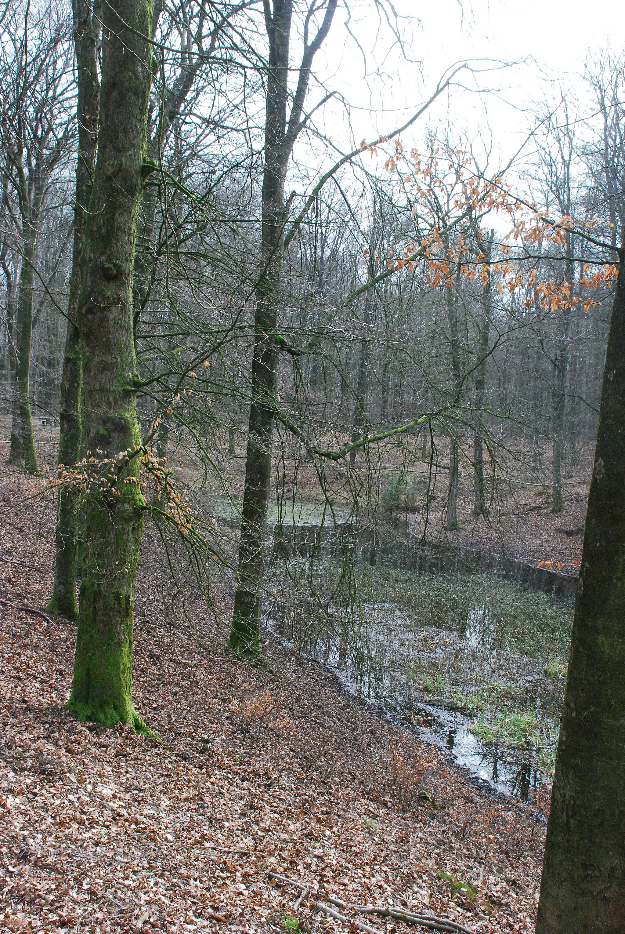 Photo showing: Bij Het Solsche gat