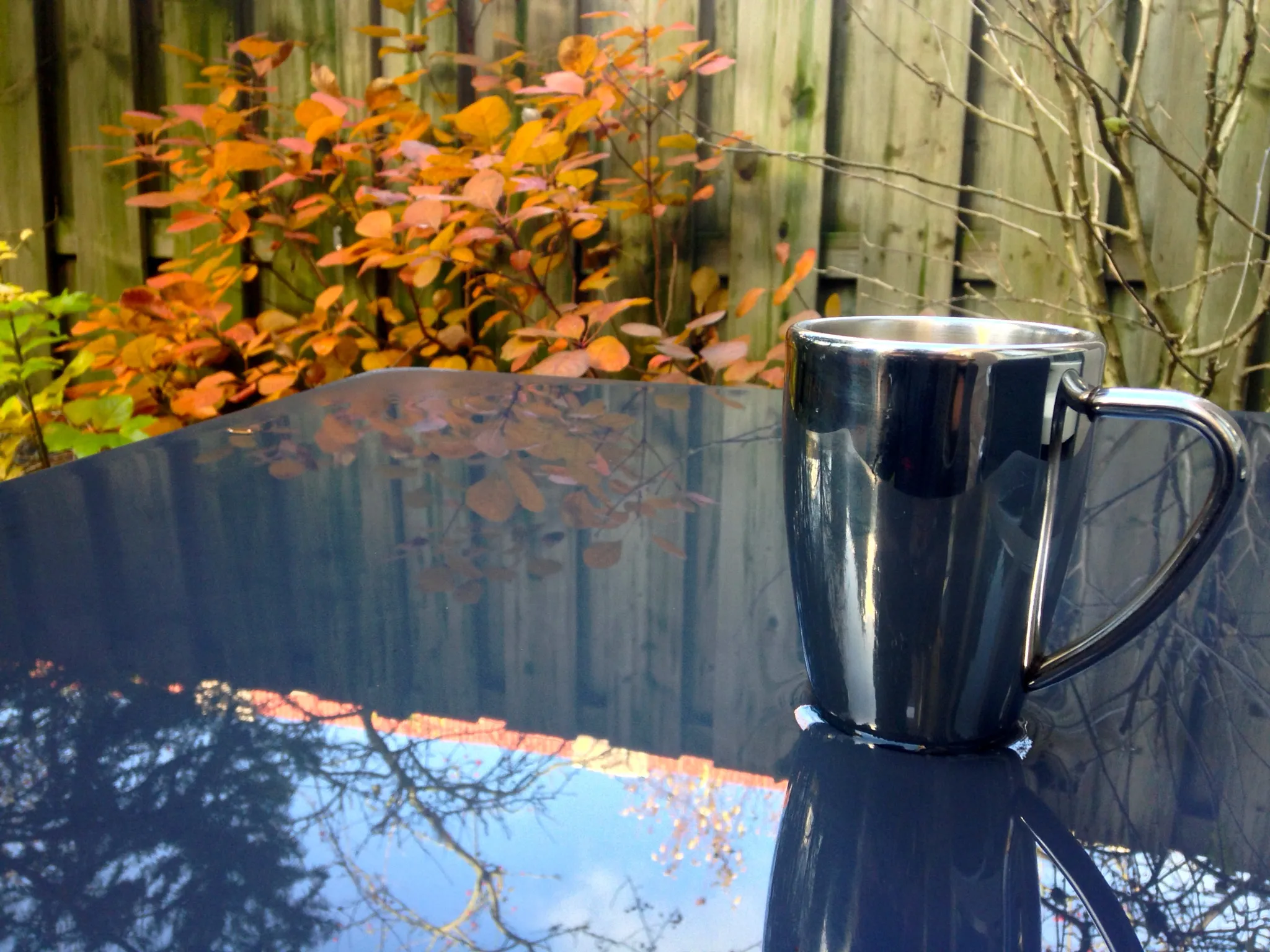 Photo showing: 500px provided description: That cup of coffee in the garden in fall after a rainy night... [#fall ,#garden ,#table ,#cup500px]