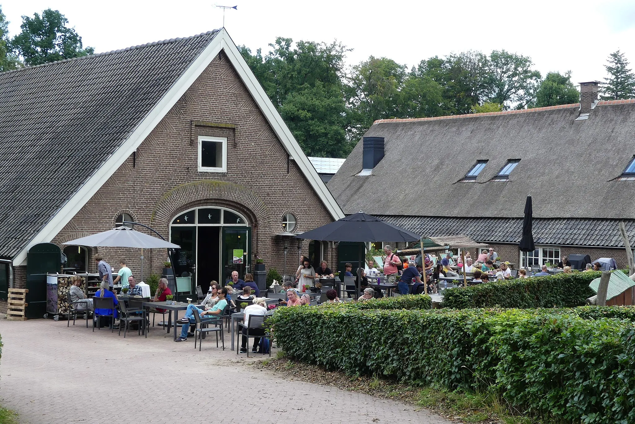 Photo showing: Zicht oop terras van bezoekerscentrum Veluwezoom van Natuurmonumenten nabij Rheden