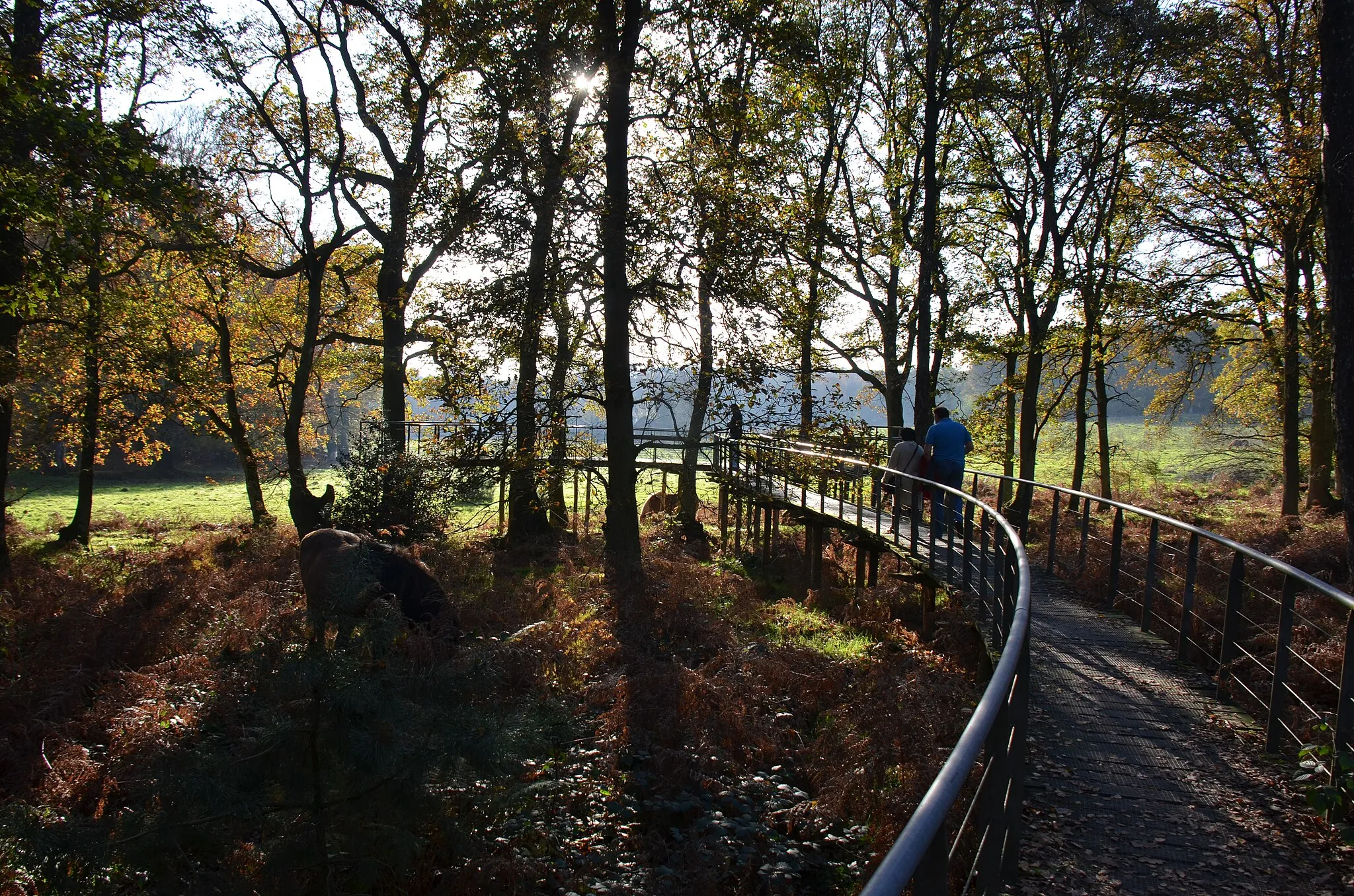 Photo showing: Nature viewpoint at Herikhuizen near Natuurmonumenten visitors centre Rheden
