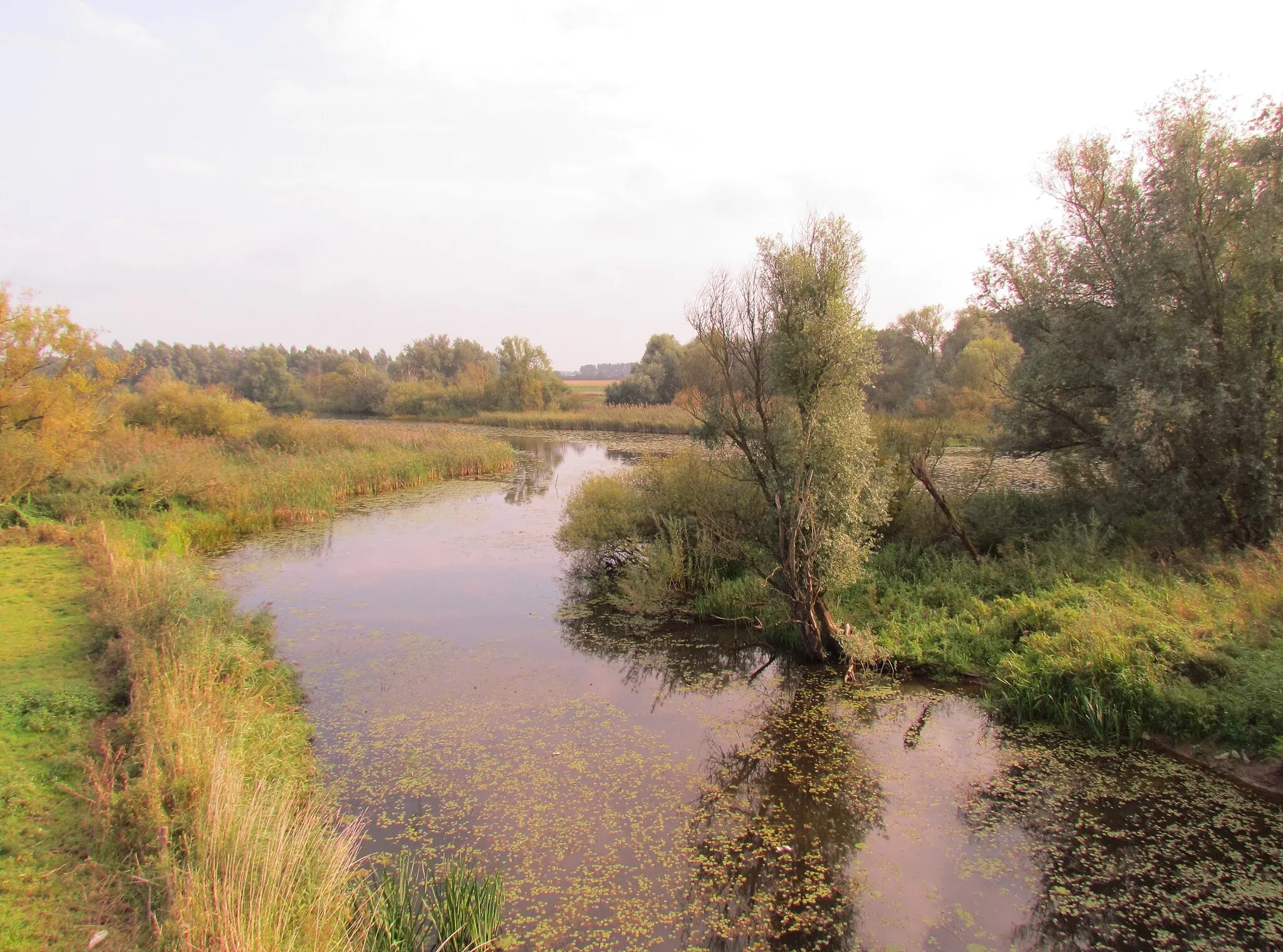 Photo showing: Oude Rijn bij Herwen (NL), op de grens met Duitsland (Elten). Oonderdeel van Natura 2000-gebied de Gelderse Poort