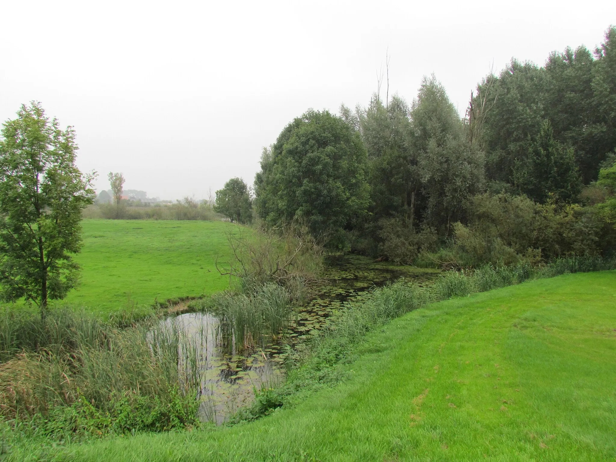 Photo showing: Wetering naar de Oude Rijn in de Pannerdense Waard (onderdeel van natuurgebied de Gelderse Poort), bij Bergsche Hoofd