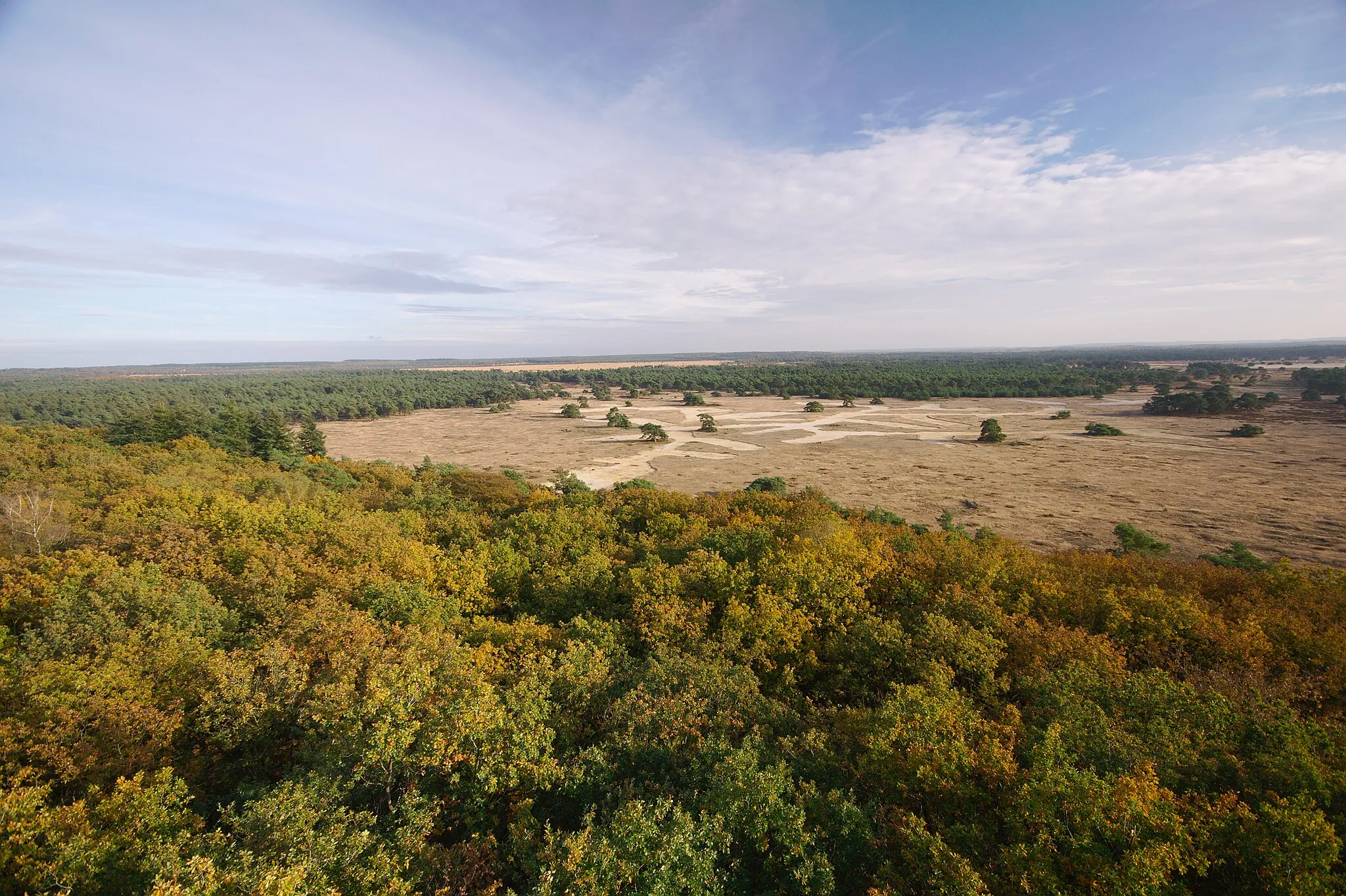 Photo showing: De Hoge Veluwe out Kröller-Müller Museum