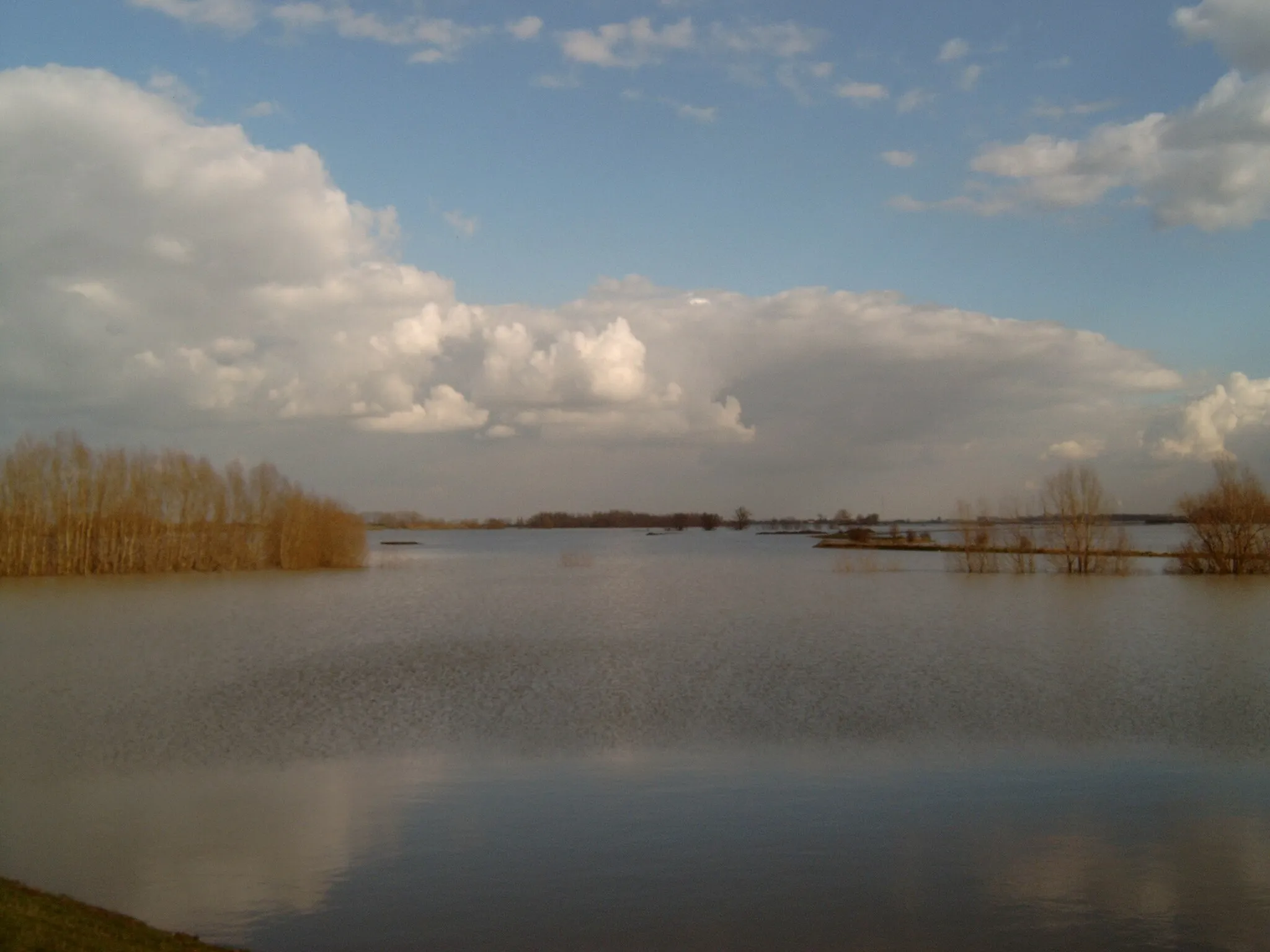 Photo showing: de Waal bij Ochten