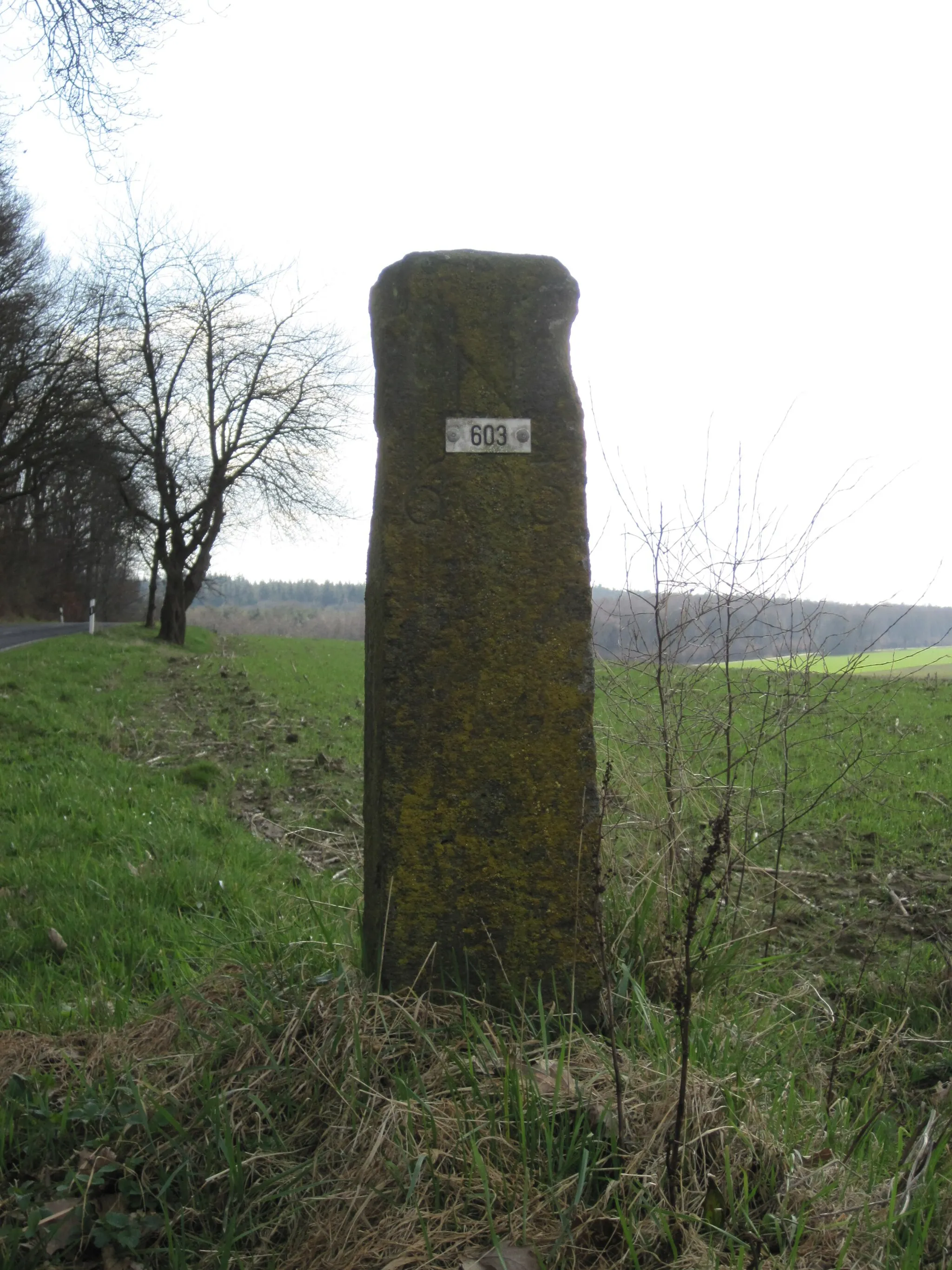 Photo showing: Grenzpfahl 603 an der deutsch-niederländischen Grenze bei Kranenburg/Groesbeek