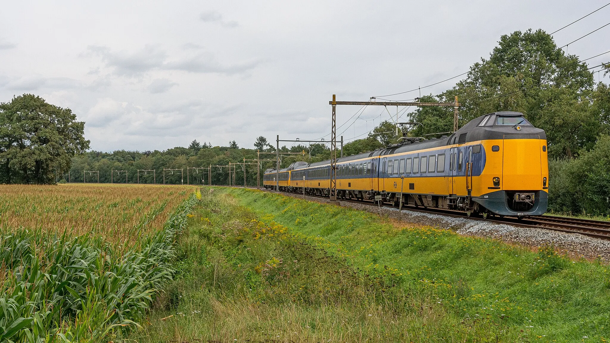 Photo showing: ICMm 4229-4045 rijden ter hoogte van Eefde (bij Zutphen) als IC 3651 Zwolle-Roosendaal