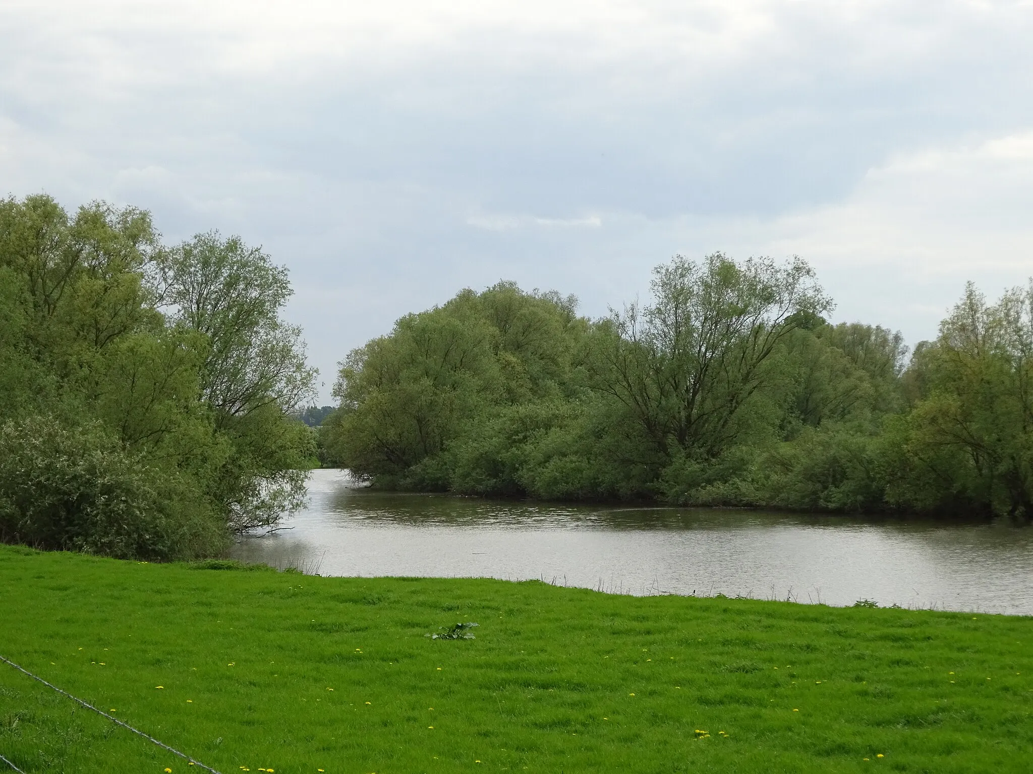 Photo showing: Rees-Grietherbusch  (LSG-Rheinufer). Aussicht auf Naturschutzgebiet Grietherorter Altrhein
