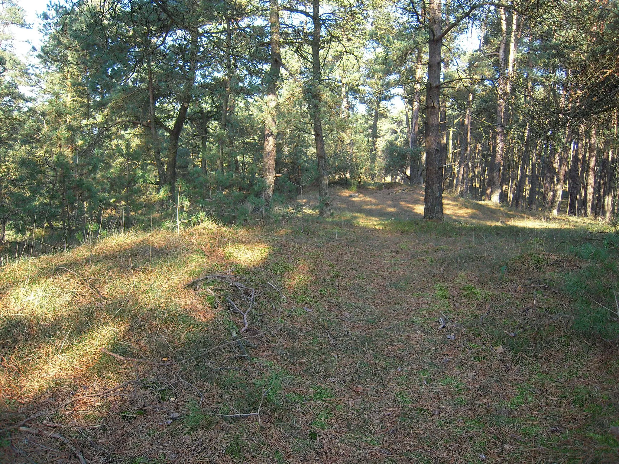 Photo showing: Signaal Imbosch, high point Veluwe, Netherlands