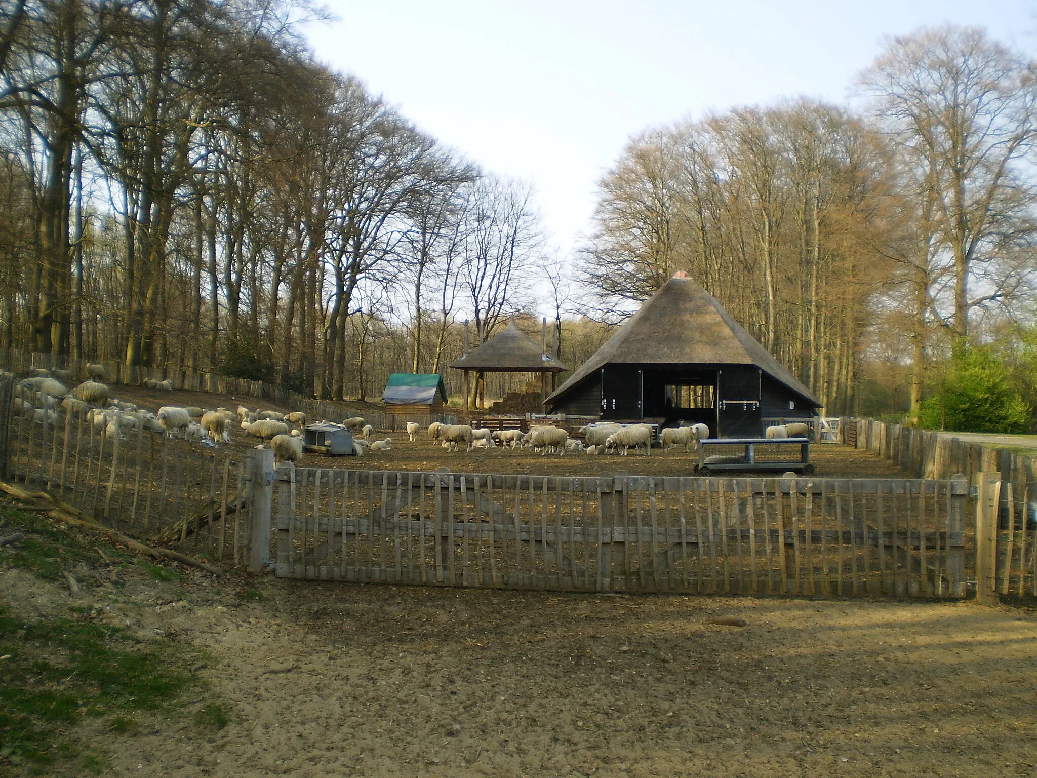 Photo showing: Sheep barn in Hoog Buurlo near Apeldoorn, the Netherlands