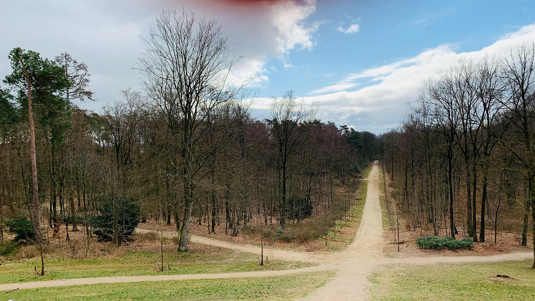 Photo showing: Het Rozendaalse bos op 22 maart 2021