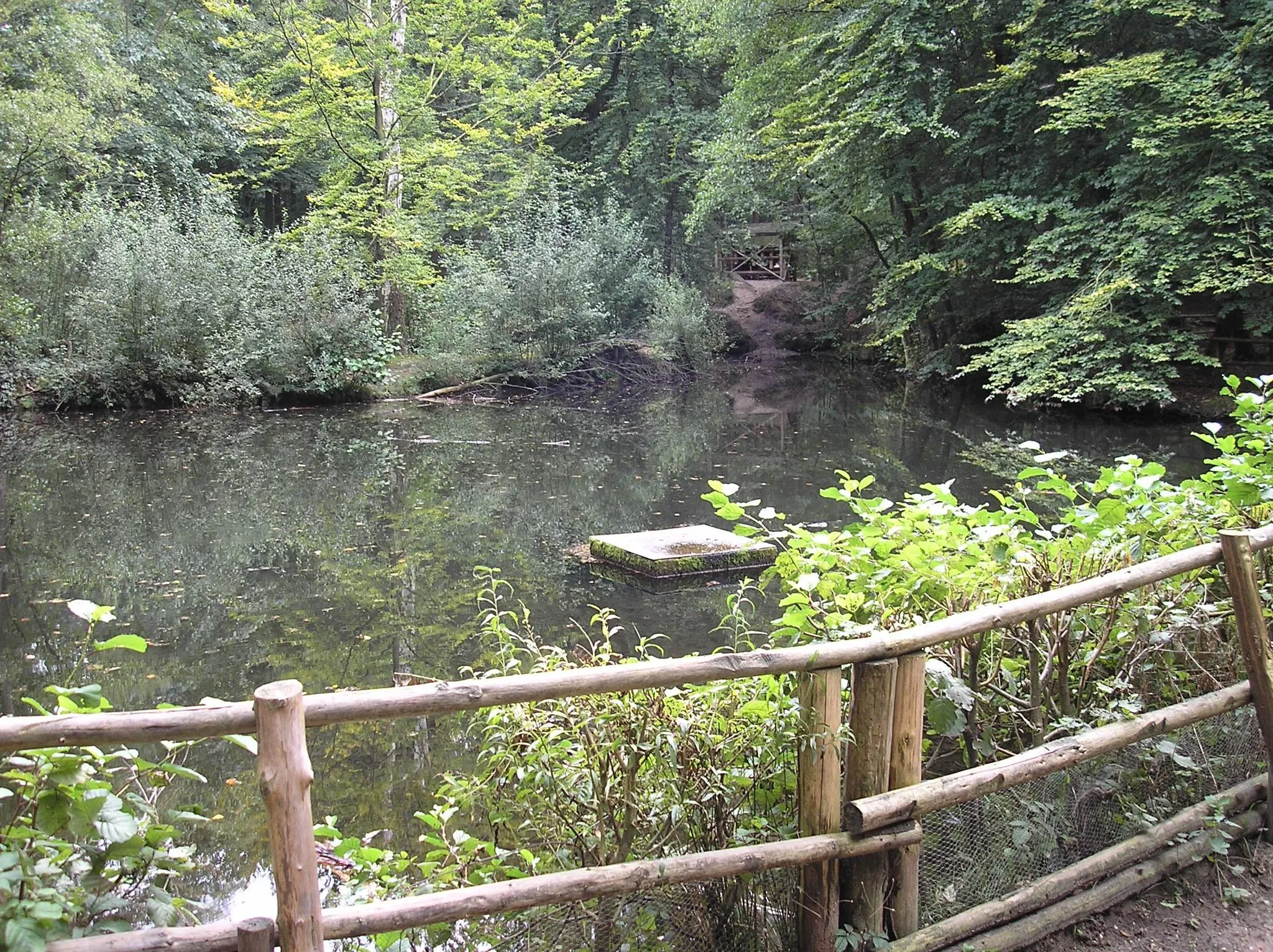 Photo showing: Quellteich der „Sieben Quellen“ im Rand des Reichswalds bei Kranenburg-Nütterden (Erholungsgebiet am Forsthaus Nütterden, kein Natur- oder Landschaftsschutzgebiet)