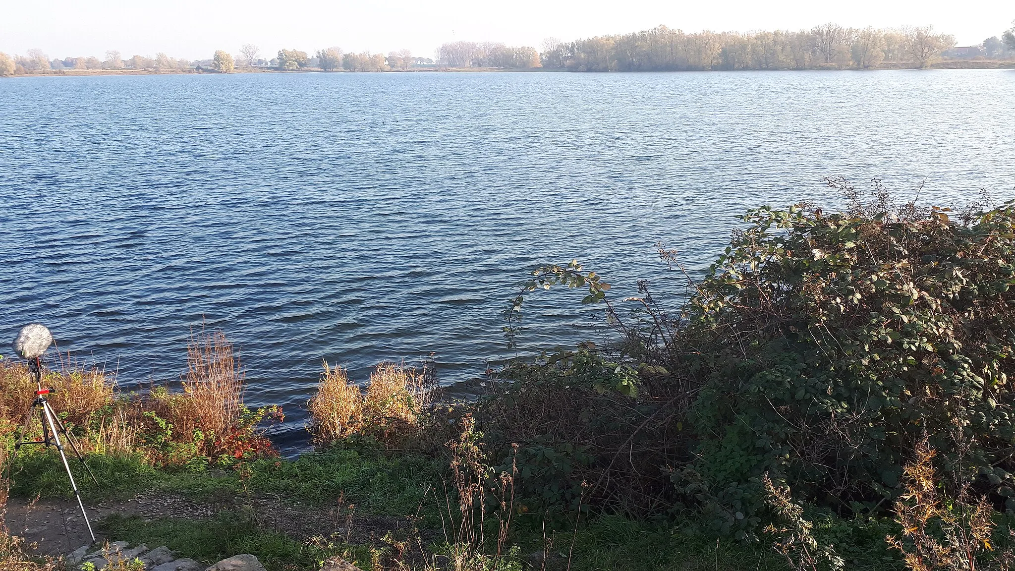 Photo showing: Zicht vanaf waterkant bij plaatsje Hoenzadriel. kijkend in oostelijke richting 't wild aan overzijde van de Maas.