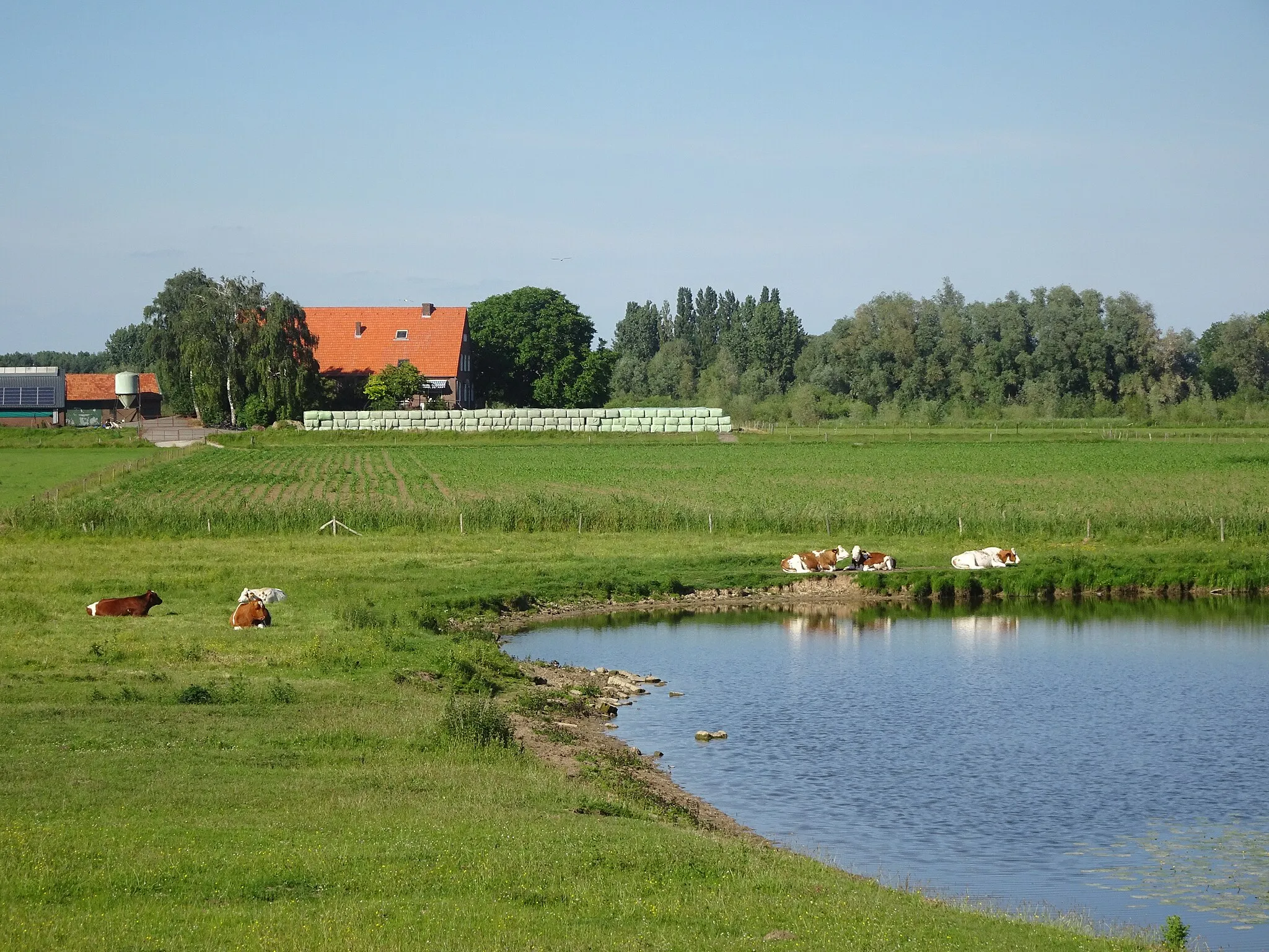 Photo showing: Erlecom, Bonekampse Kolk aan de Kerkdijk