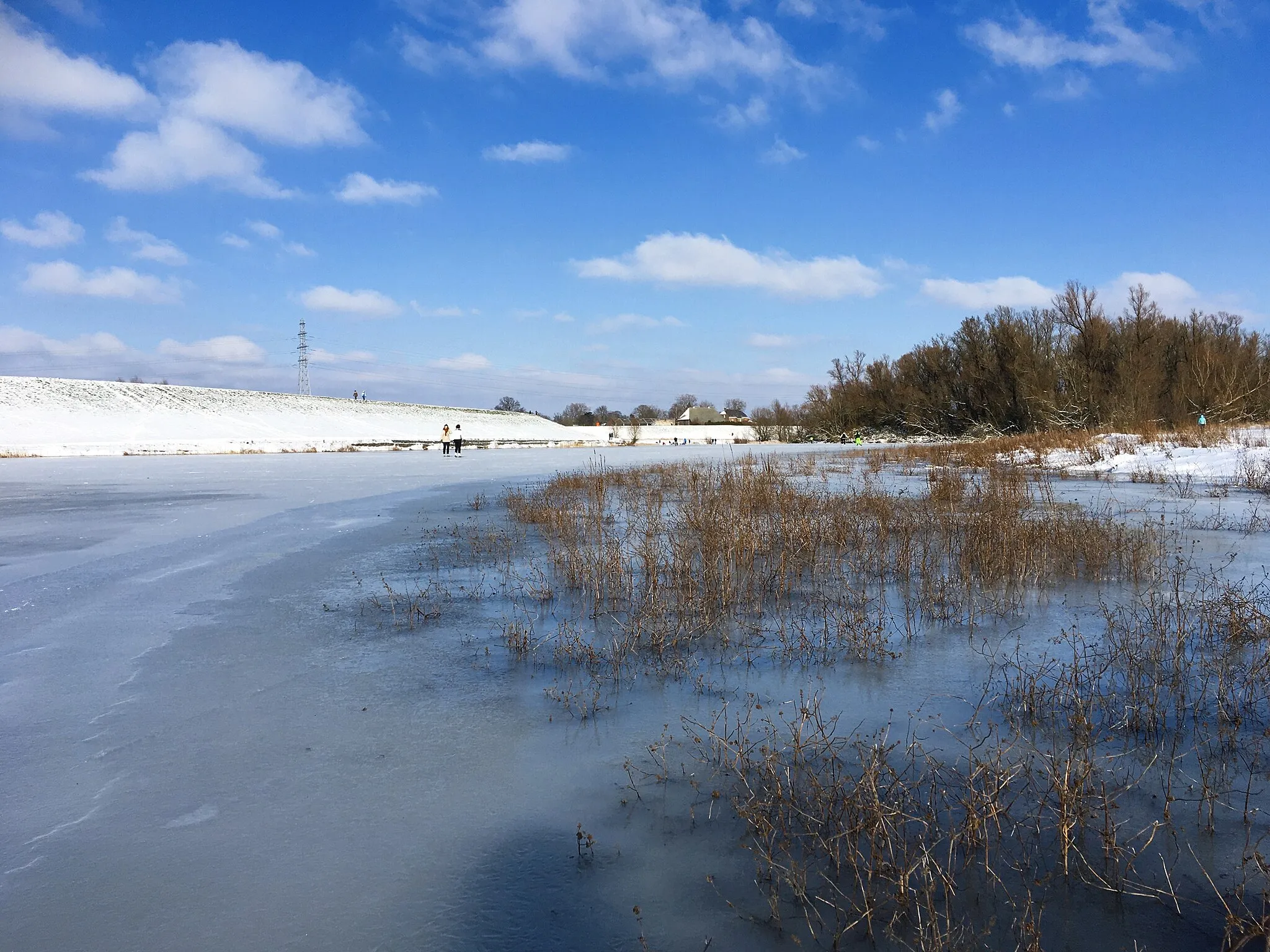 Photo showing: Een Nederlands winterrivierlandschap in de Bemmelse Waard. Rechtsonder ziet men boven het ijs van de bevroren oever de dode plantenresten uitsteken van een plantengemeenschap uit de tandzaad-klasse (Bidentetea).