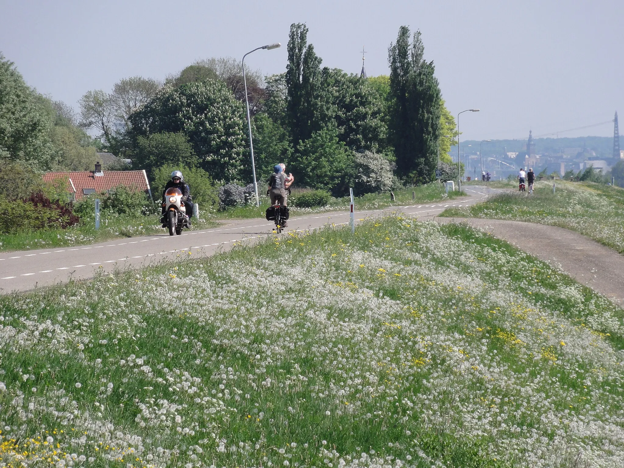 Photo showing: Slijk-Ewijk fietstoerisme op Waaldijk