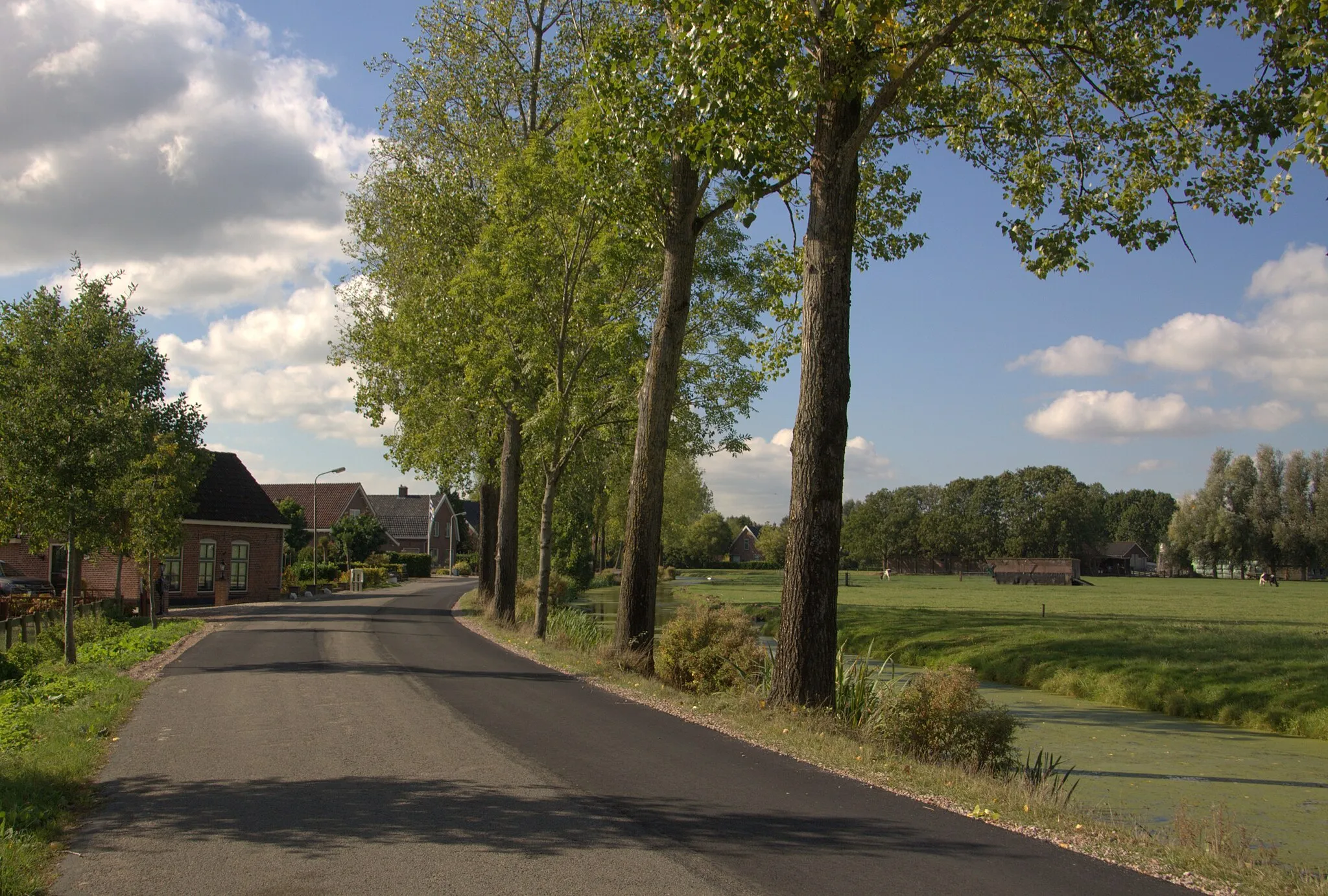 Photo showing: De erg landelijke Leerbroekseweg op een mooie Oktoberdag in de streek De Vijfheerenlanden. Gemeente Zederik.