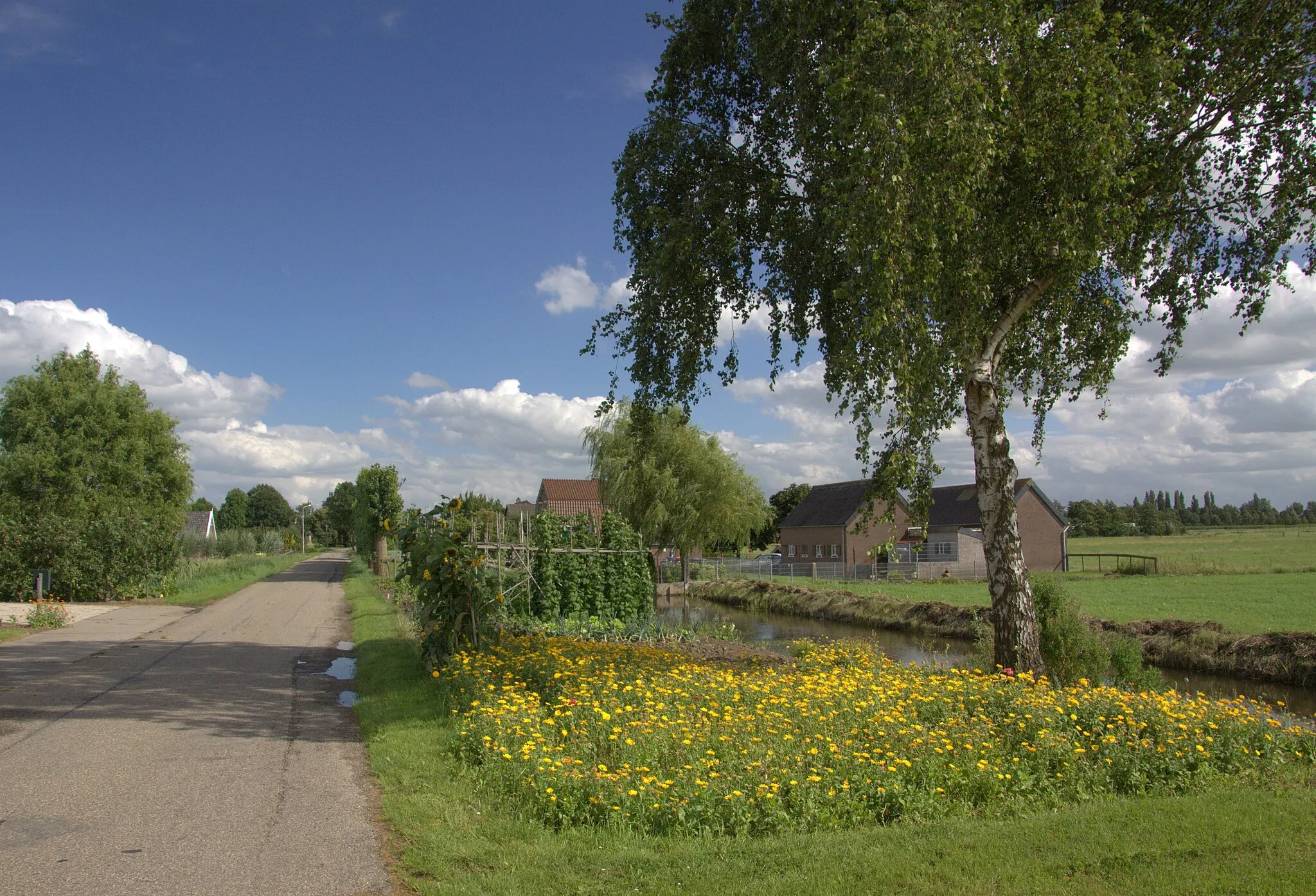 Photo showing: Het is altijd fijn om even door Overheicop te gaan het is daar zo landelijk en rustig.