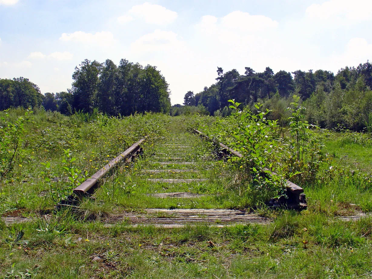 Photo showing: De Borkense baan (voormalige spoorweg tussen Winterswijk en Borken) nabij Kotten aan de grens tussen Nederland en Duitsland