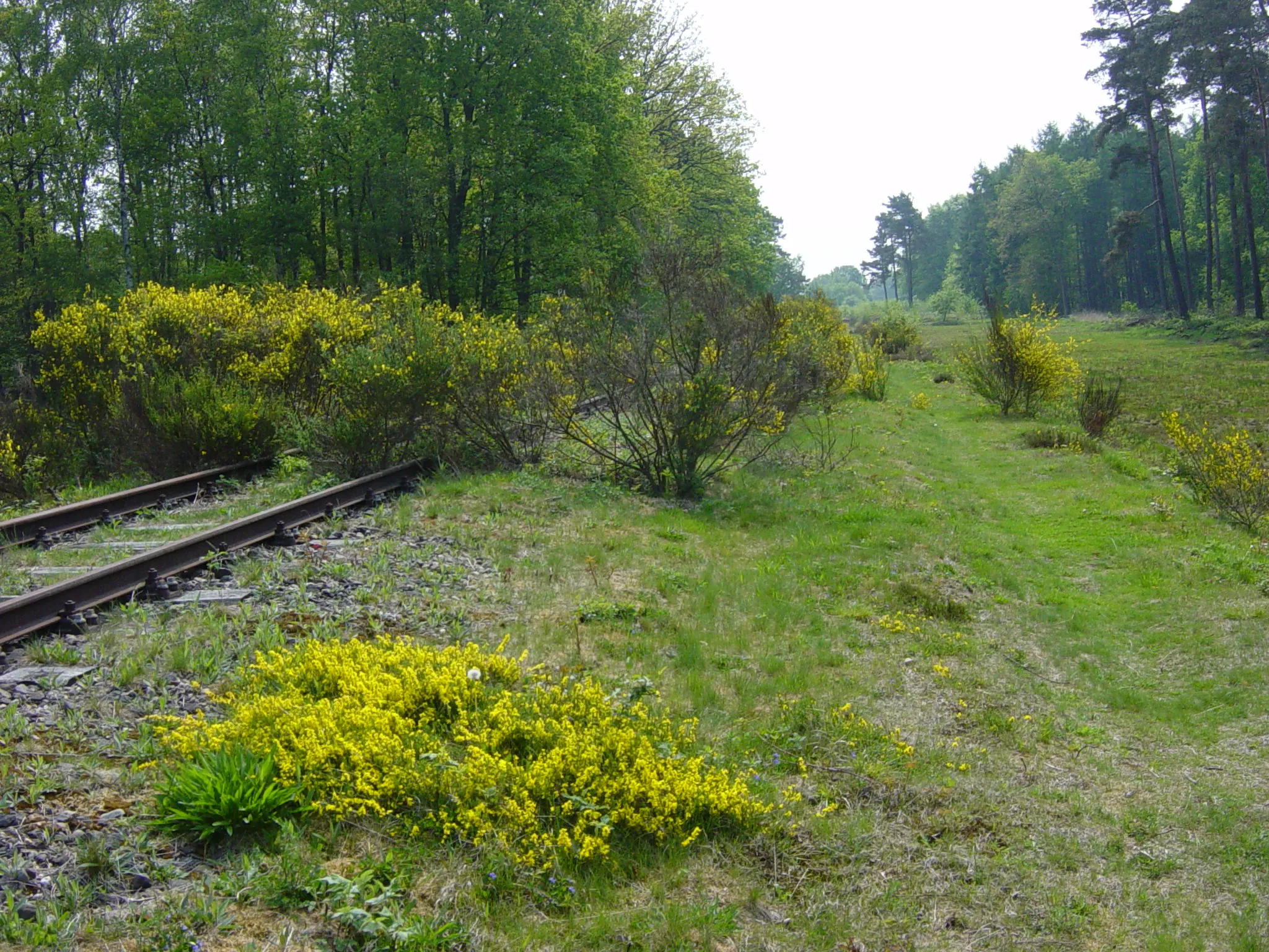 Photo showing: vm spoorlijn Winterswijk Borken