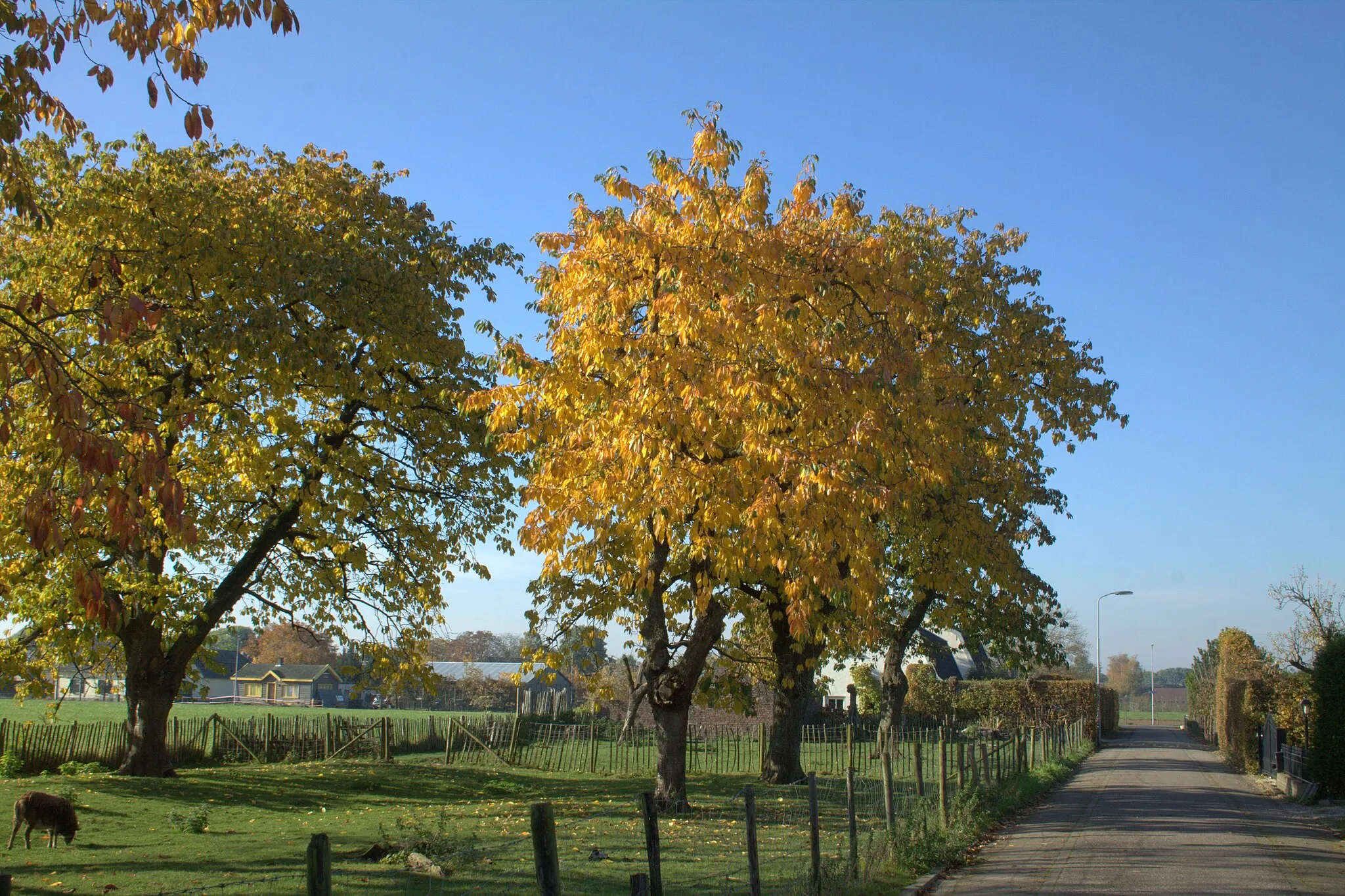 Photo showing: Bij Ingen in de Betuwe ligt het buurtschap Hoog Kana.