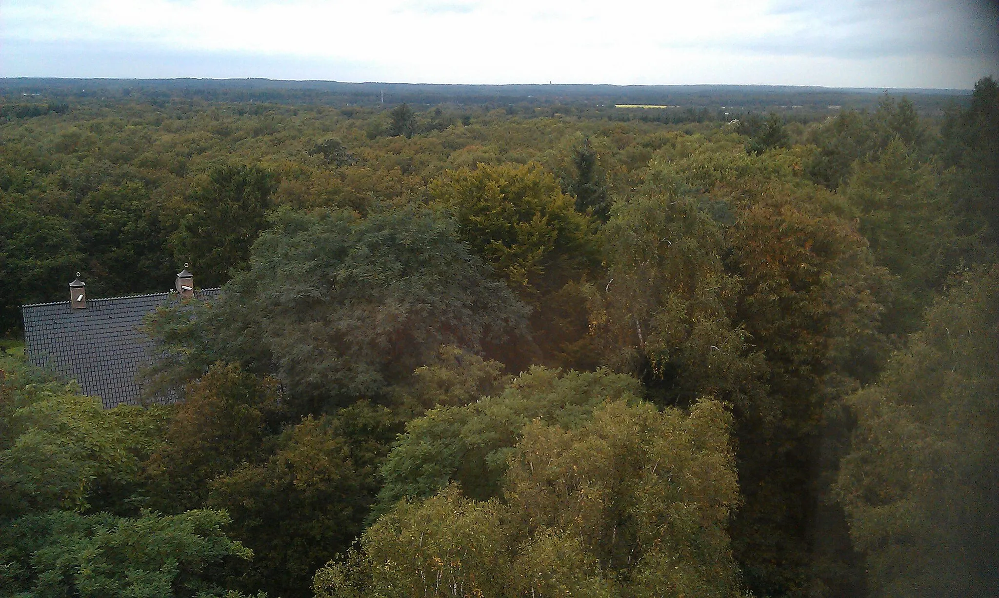 Photo showing: Bosgebied op de Veluwe, genomen vanaf de hoogste verdieping van het hoofdgebouw van het Dr. Leo Kannerhuis te Doorwerth (provincie Gelderland).