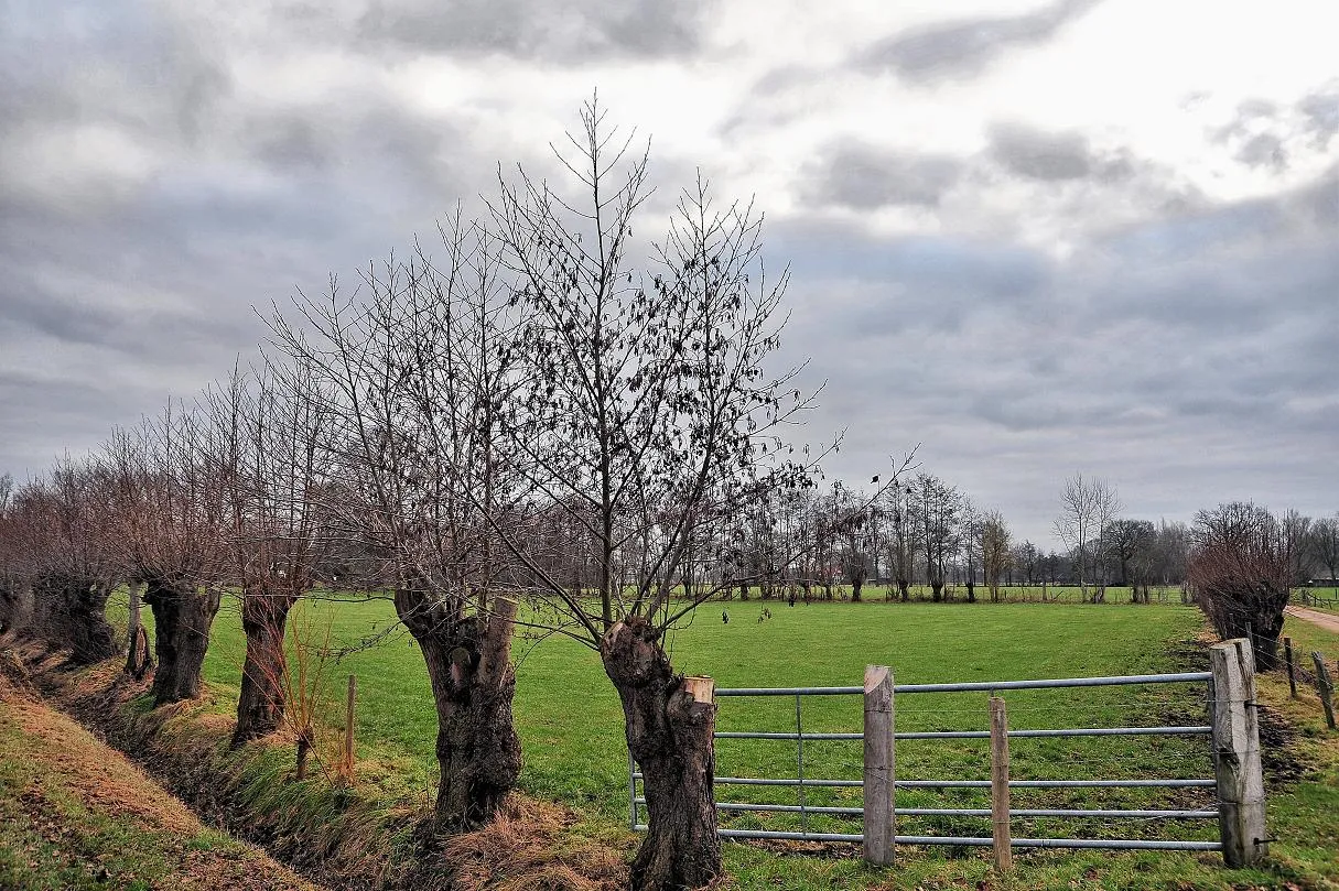 Photo showing: landscape Meuhoek, Netherlands