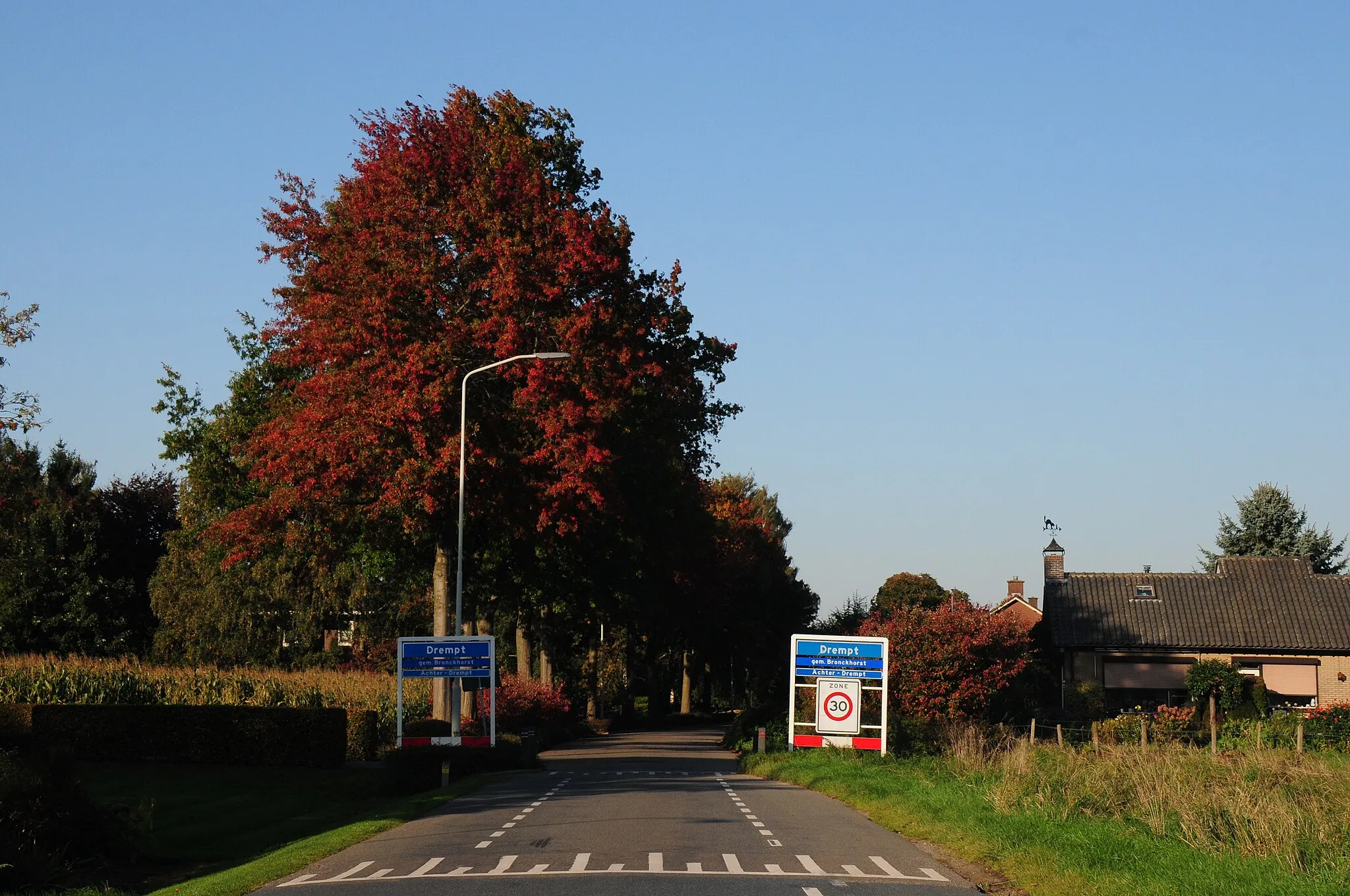 Photo showing: Autumn colours at the South entrance of Drempt
