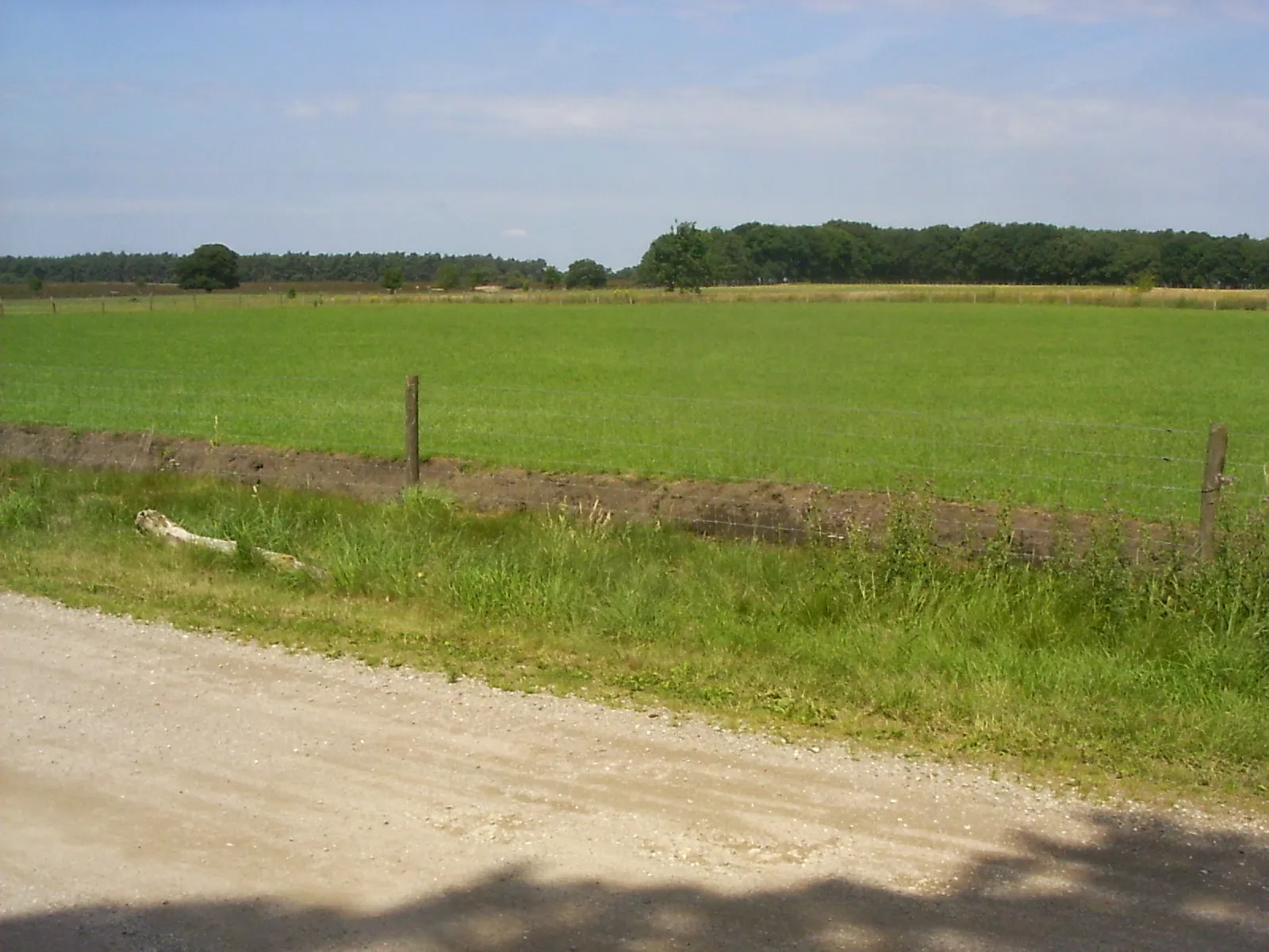 Photo showing: This is an image of a municipal monument in Ede with number