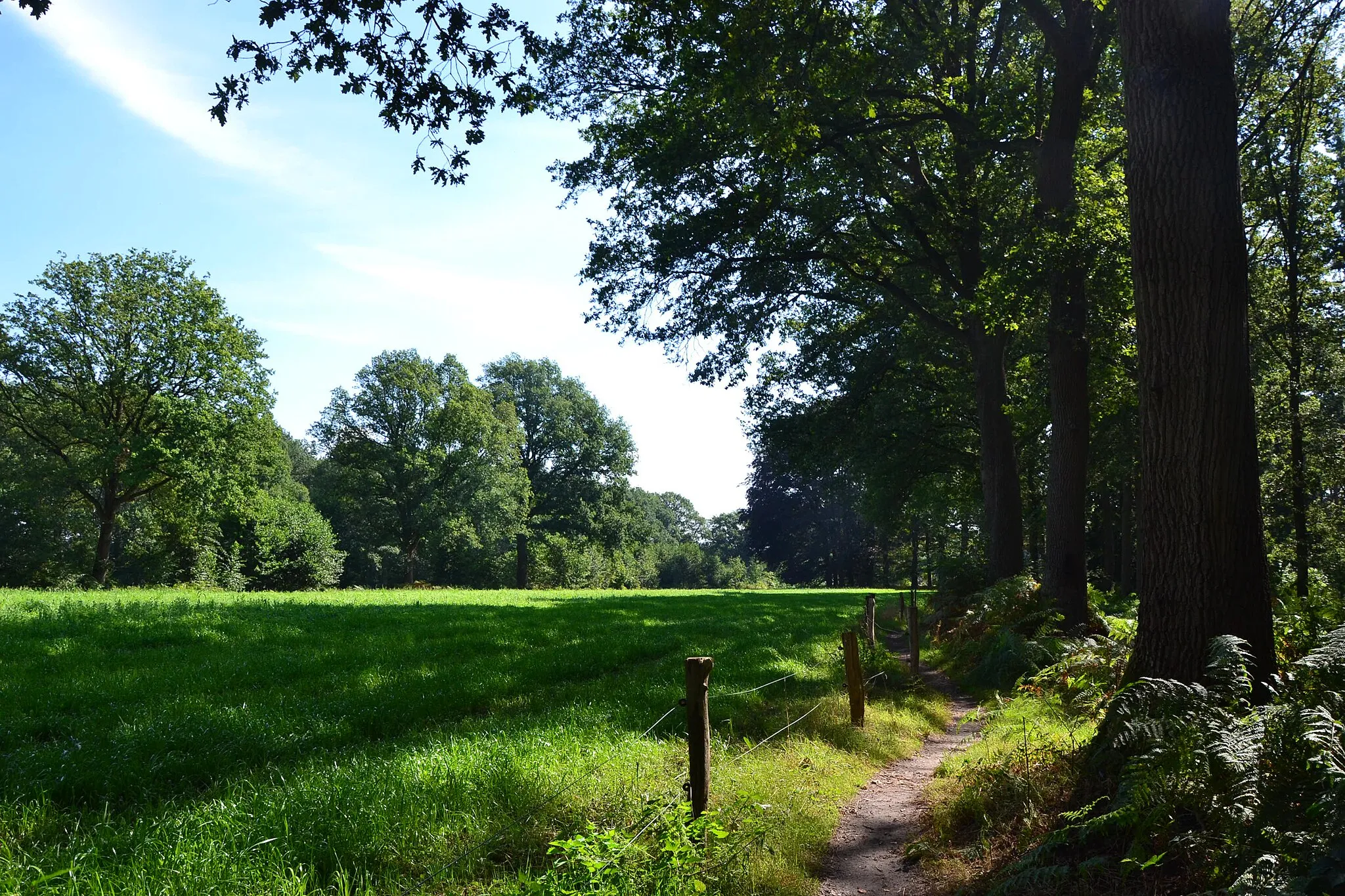 Photo showing: On the Marskramerpad hiking route on Groot Bylaer estate