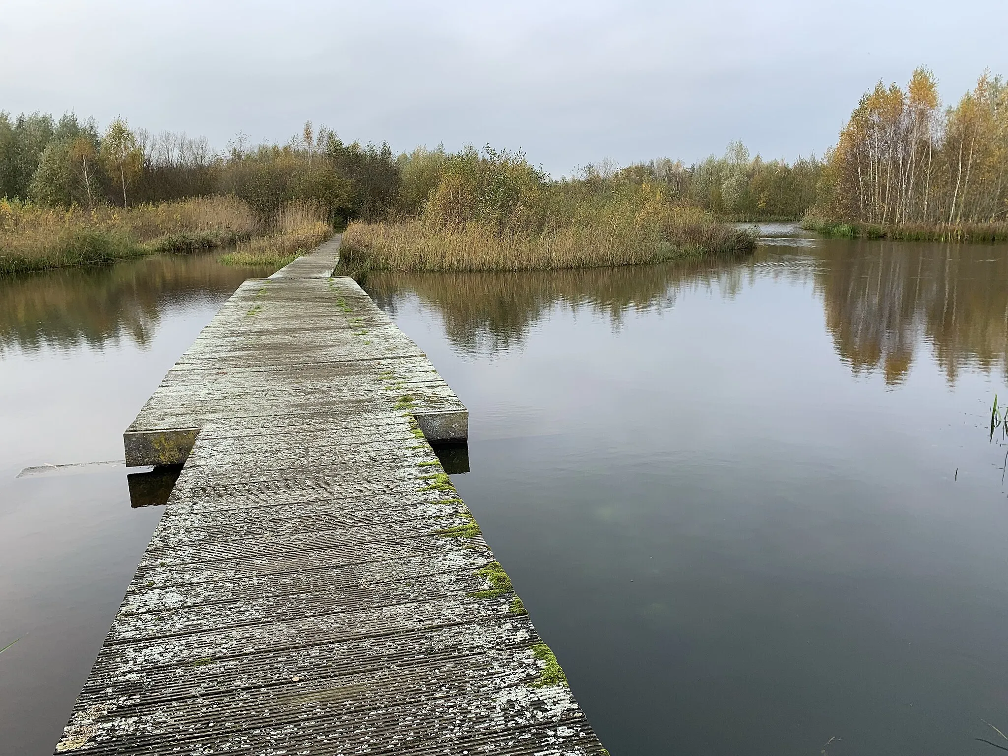 Photo showing: Natuurgebied De Schammer tussen Leusden en Soutenburg