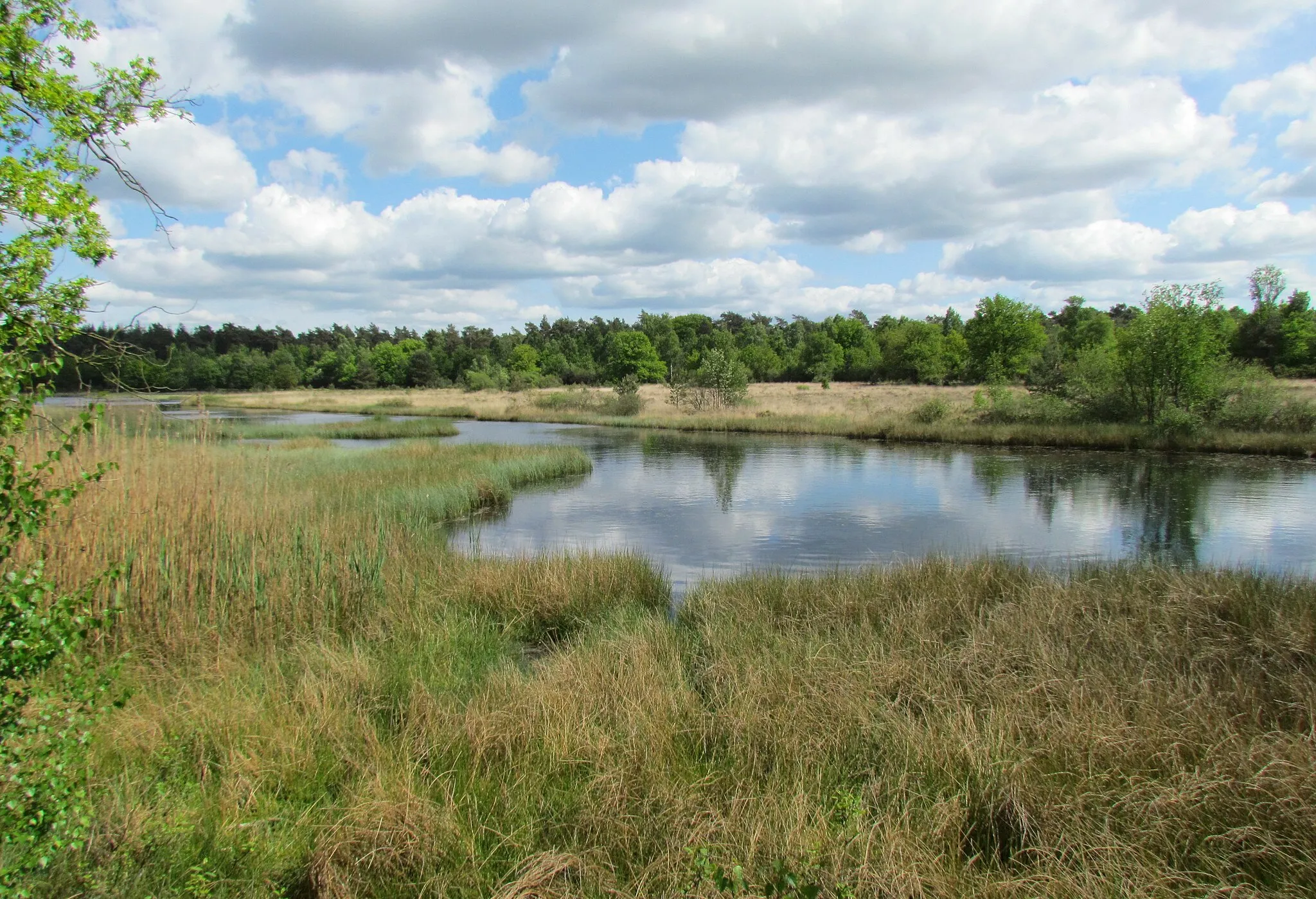 Photo showing: Kootwijkerveen, een ven in de Nederlandse provincie Gelderland, 3 kilometer ten noordoosten van Kootwijk