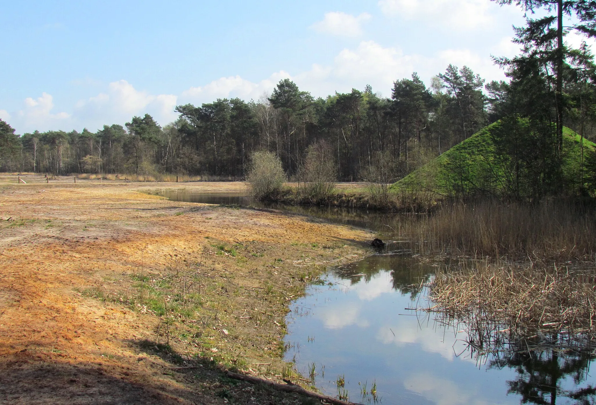 Photo showing: Natuurgebied Gorsselse Heide in de Nederlandse gemeente Lochem.