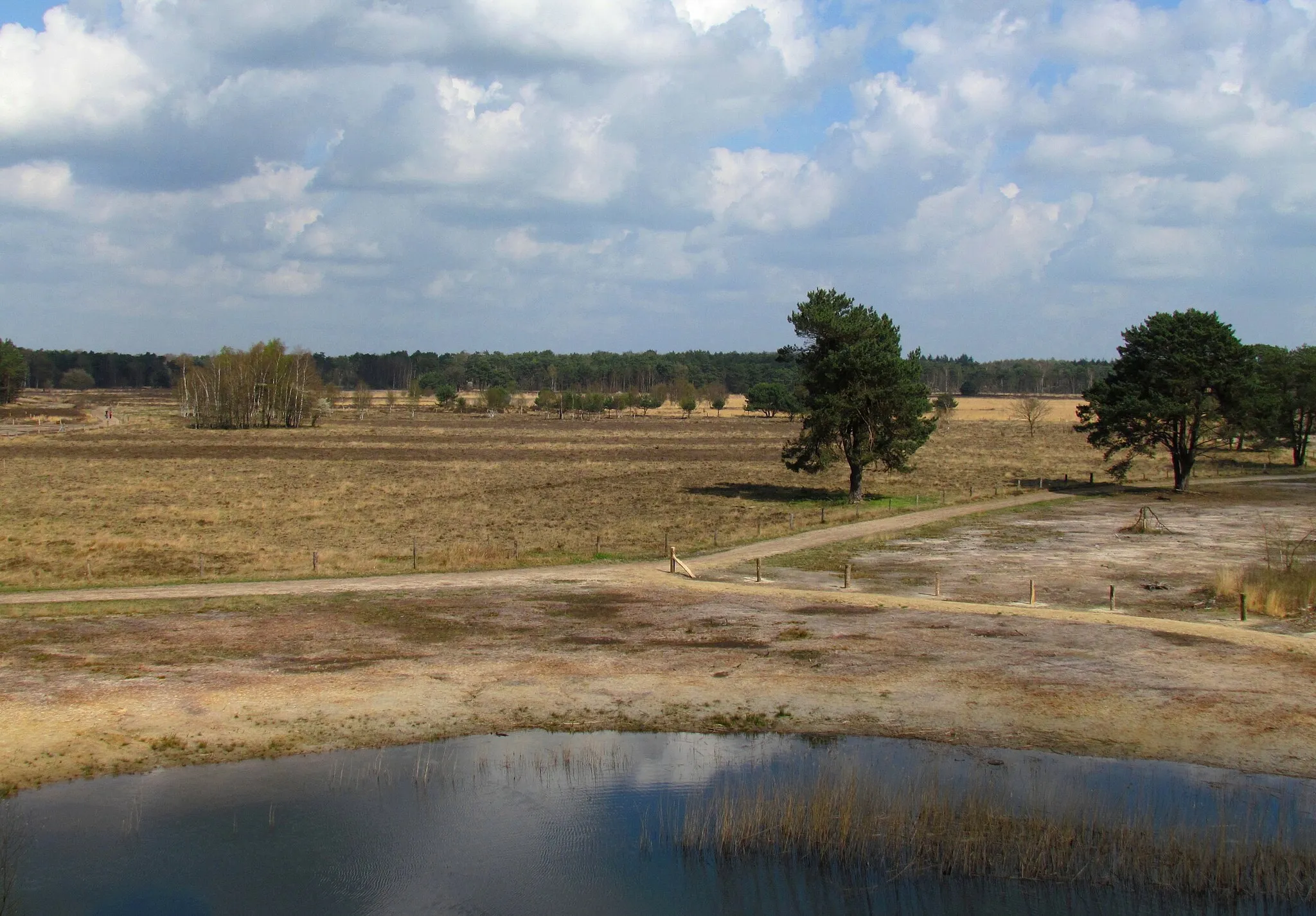 Photo showing: Natuurgebied Gorsselse Heide in de Nederlandse gemeente Lochem.