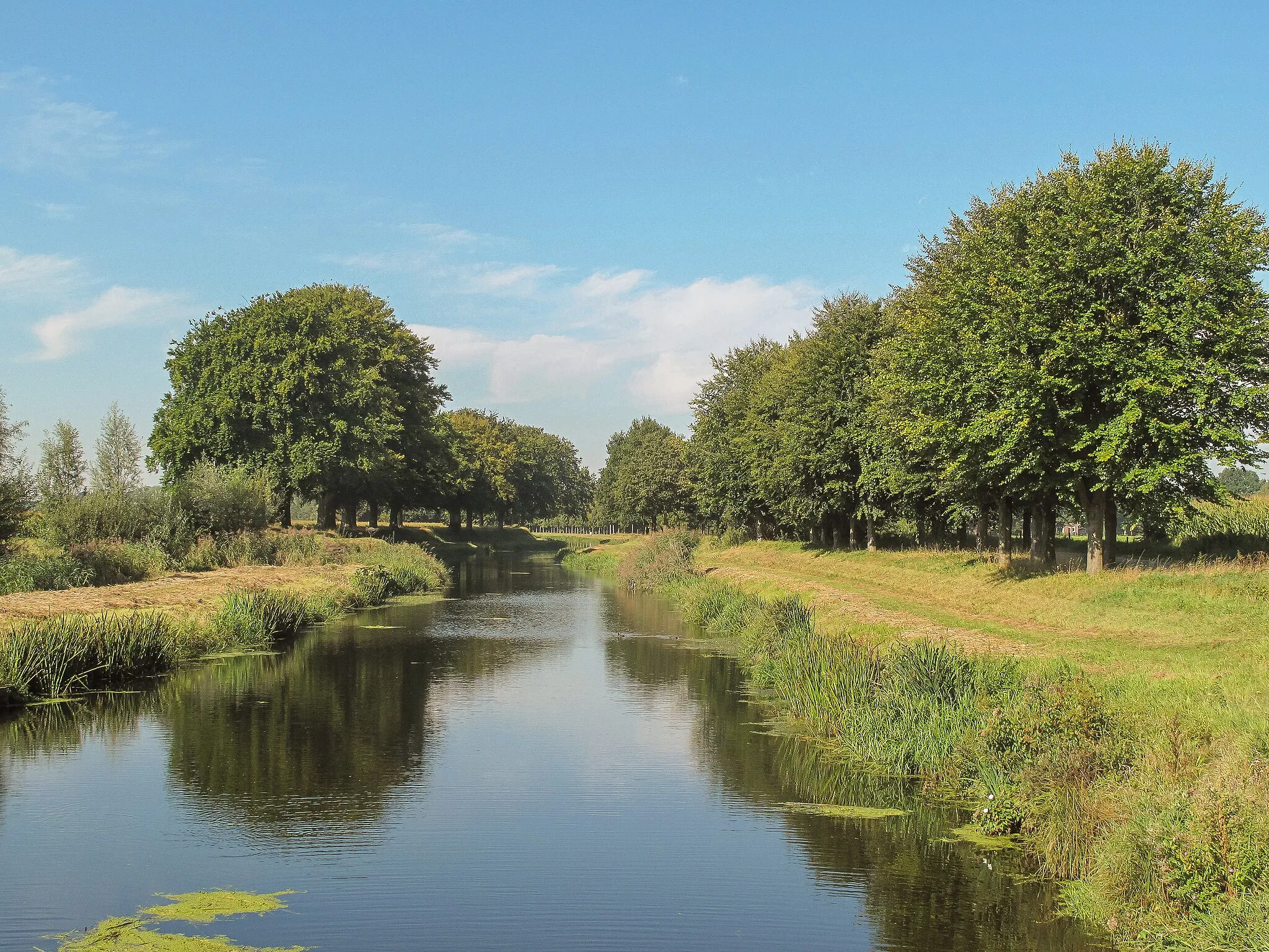 Photo showing: between Bathmen and Harfsen, stream: de Dorther Beek