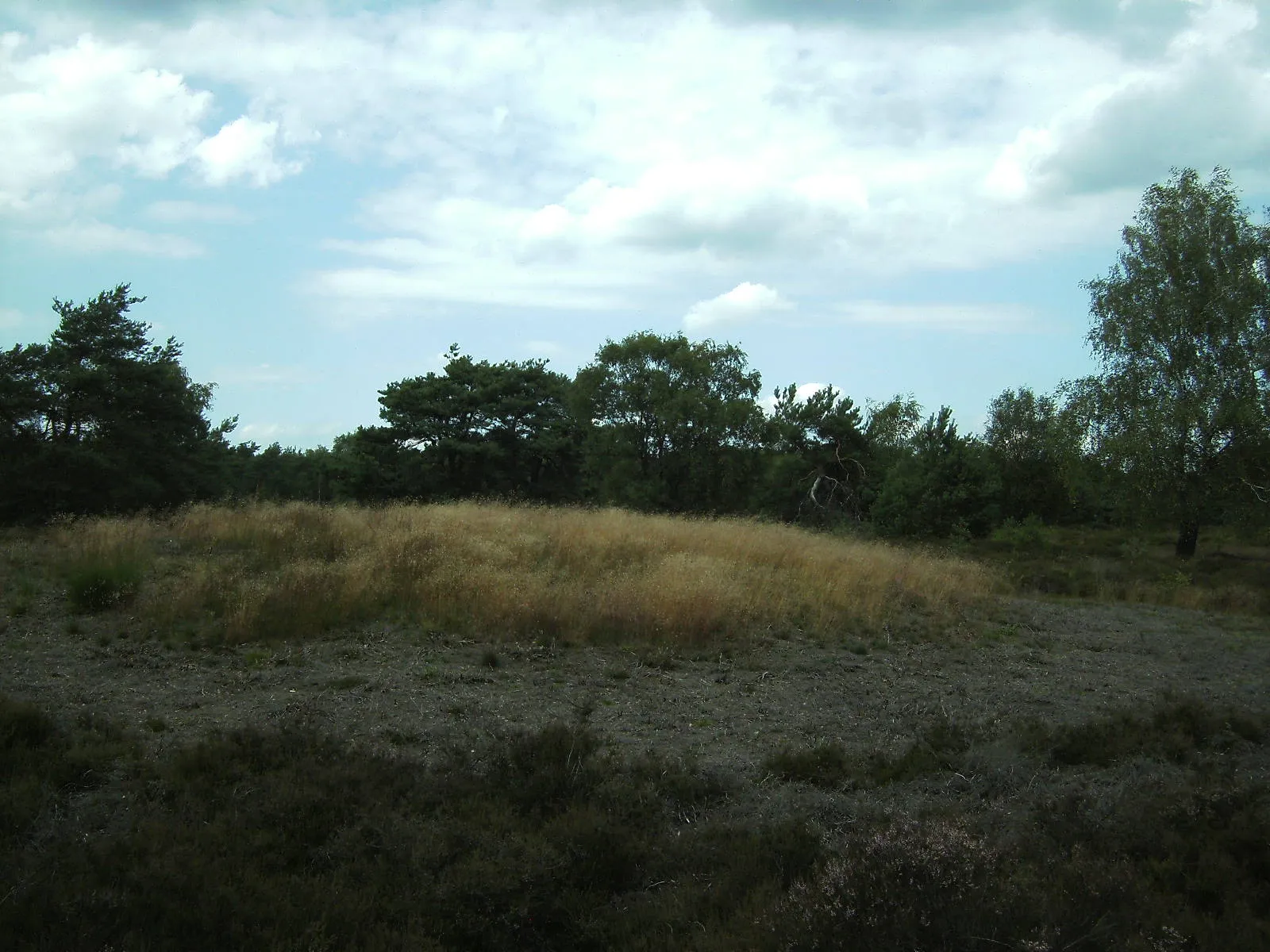 Photo showing: Borkeld, grafheuvel in het veld ten zuiden van de Borkeldweg, Holten