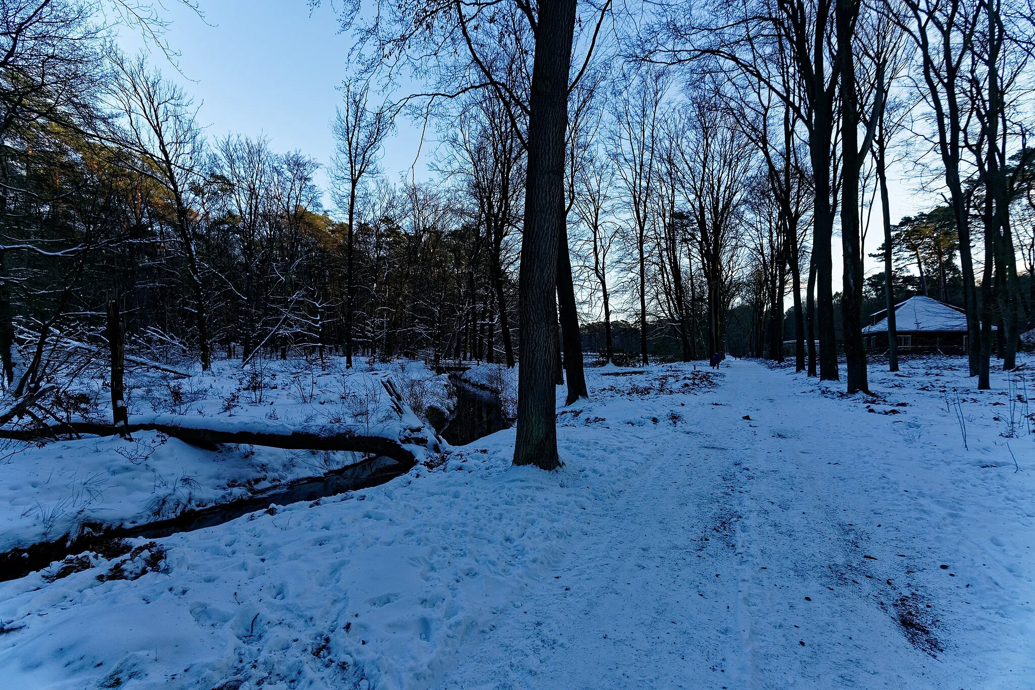 Photo showing: Ermelo - Leuvenum - Poolseweg - Leuvenumse Bos 58 -  Het Roode Koper - Winter February 2021