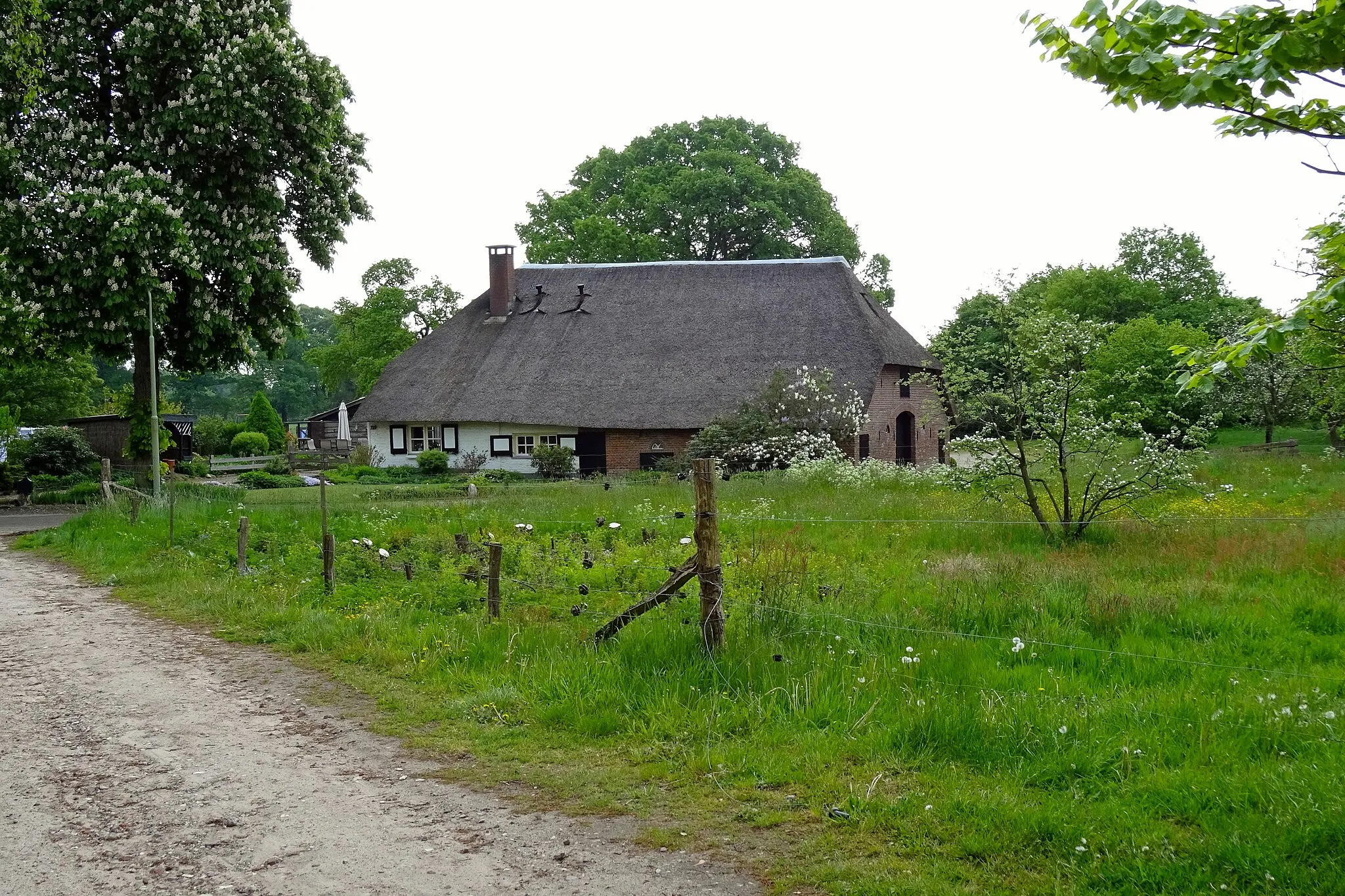 Photo showing: Kruispunt Lankertsweg en Oranjeweg in Gortel in de gemeente Epe