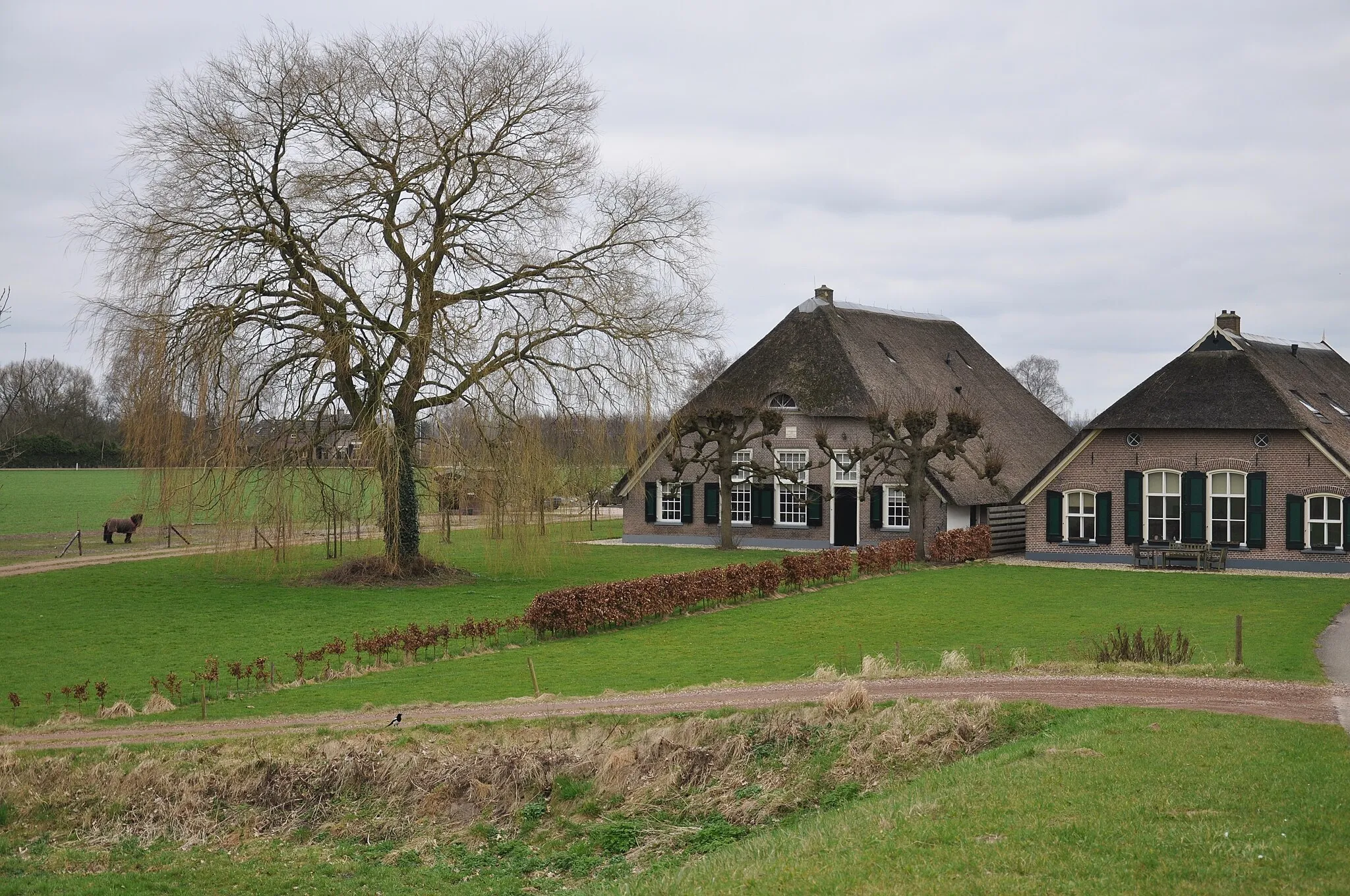 Photo showing: Boerderij  Welsum, IJsseldijk 17