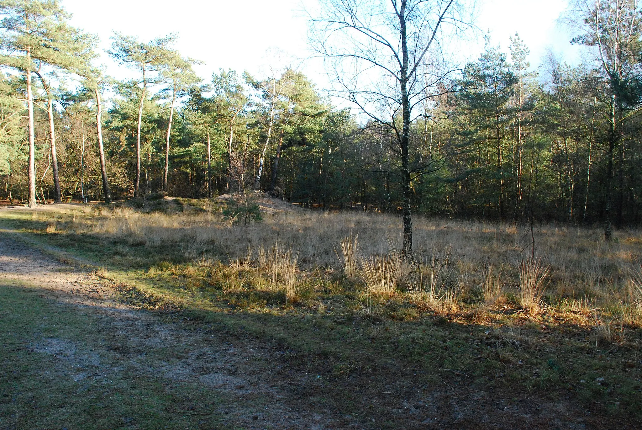 Photo showing: Schietbaan