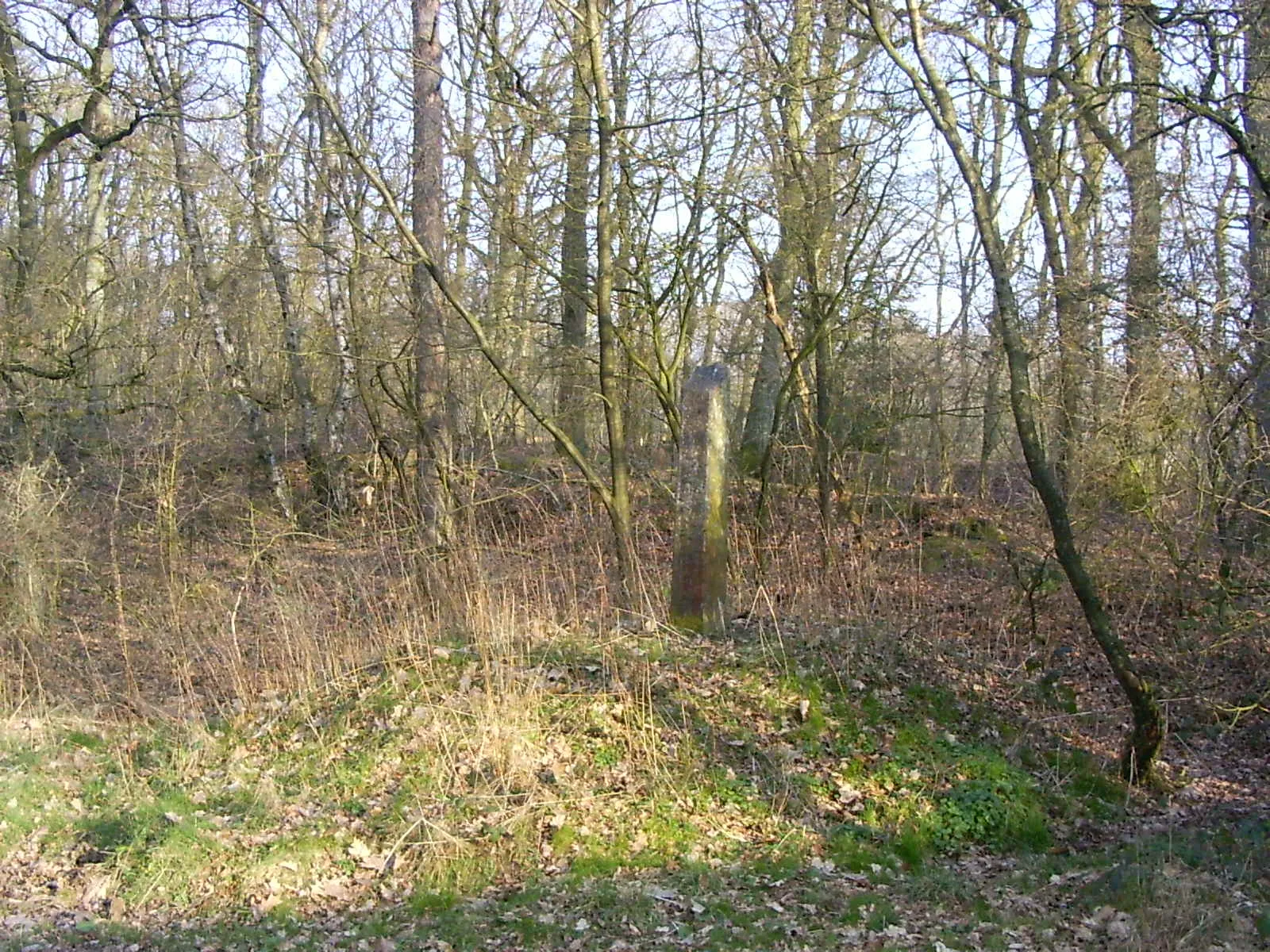 Photo showing: Arnhem, Grenspaal 46, Bruijtspol, Wolfhezerbossen, Renkums grondgebied, geen gemeentelijk monument