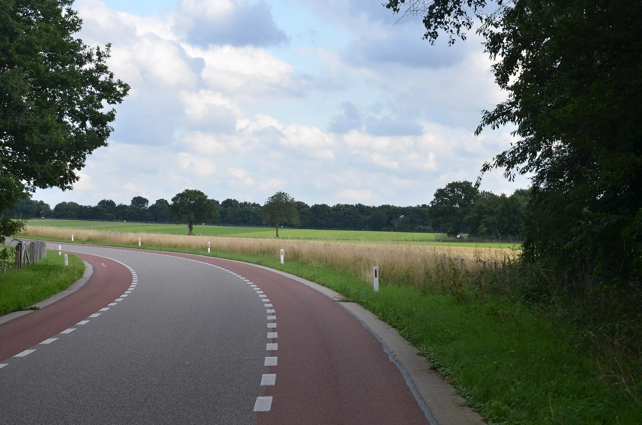 Photo showing: Veluwe - 2015