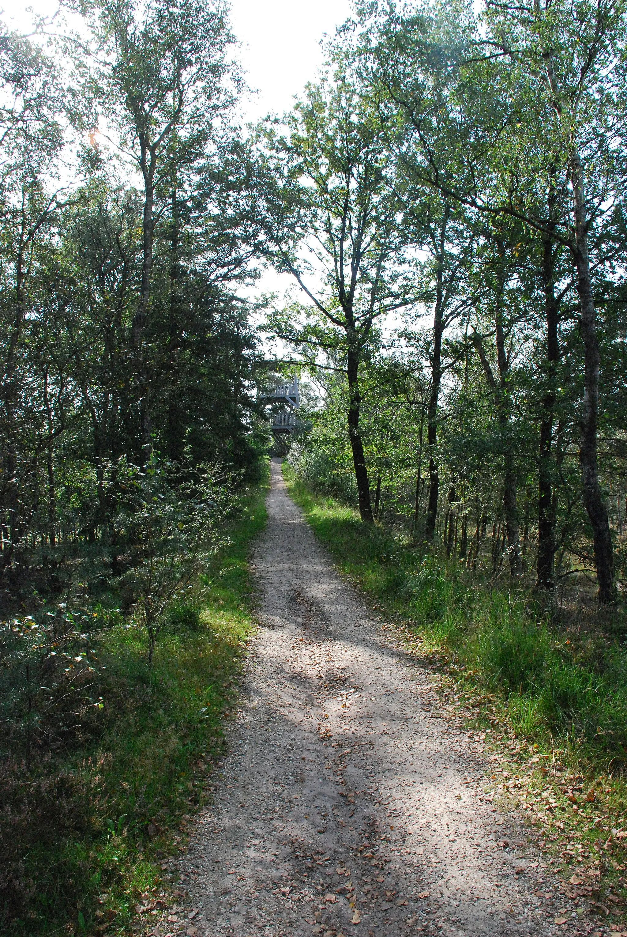 Photo showing: pad naar de haelberg