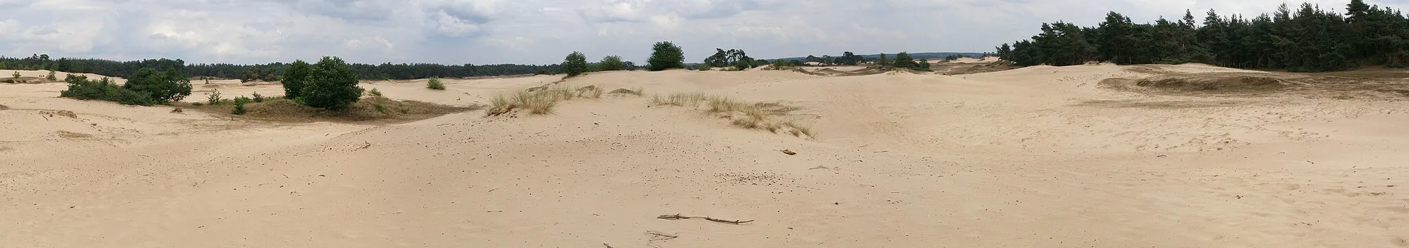 Photo showing: Panorama of Kootwijkerzand (the Netherlands, near Apeldoorn), the largest sand drift in Europe. Six images stitched with AutoStitch.