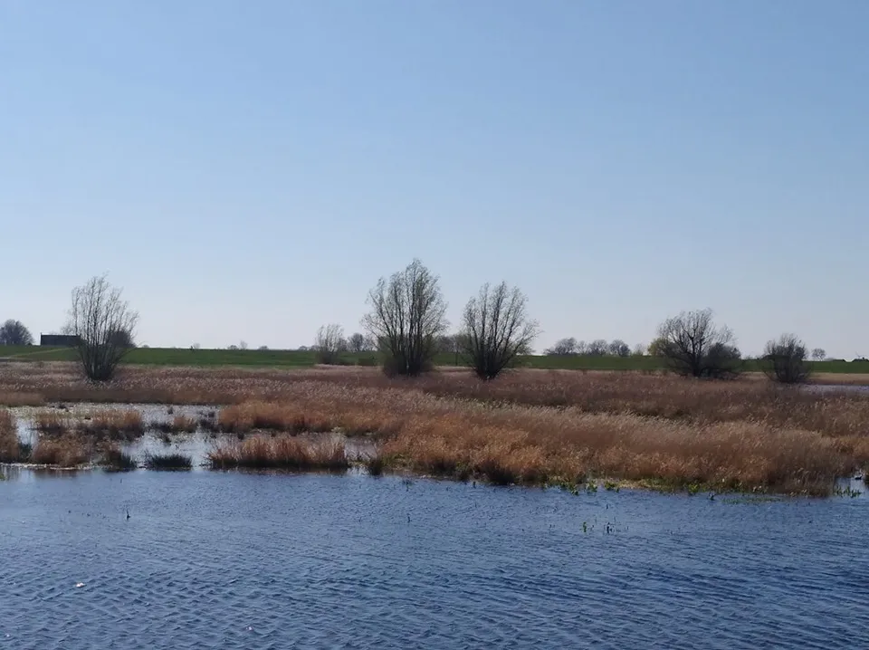 Photo showing: Natuurgebied de Enk, sinds 2018 onderdeel van het Reevediepgebied
